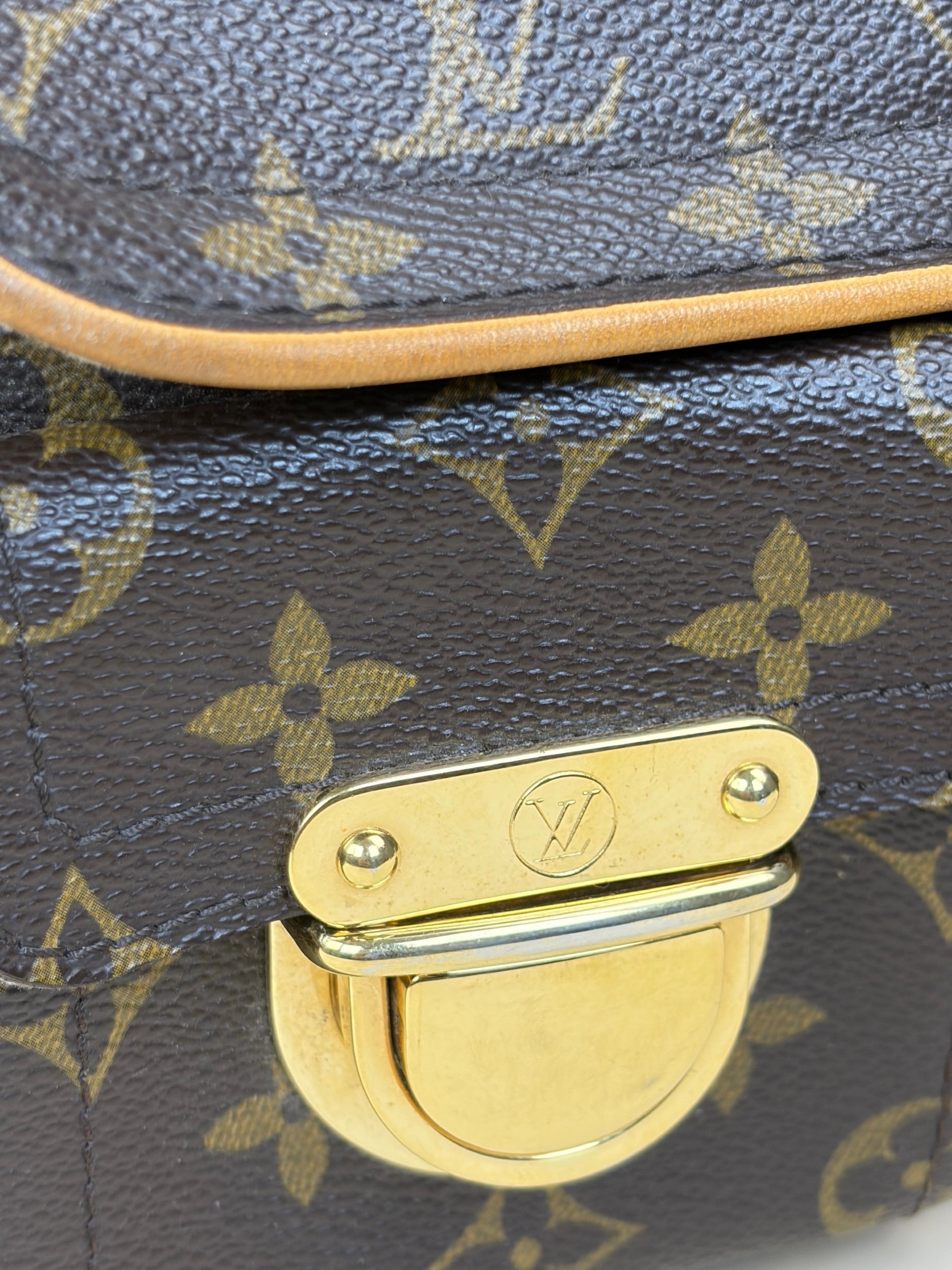 Louis Vuitton Monogram Hudson PM Shoulder Bag