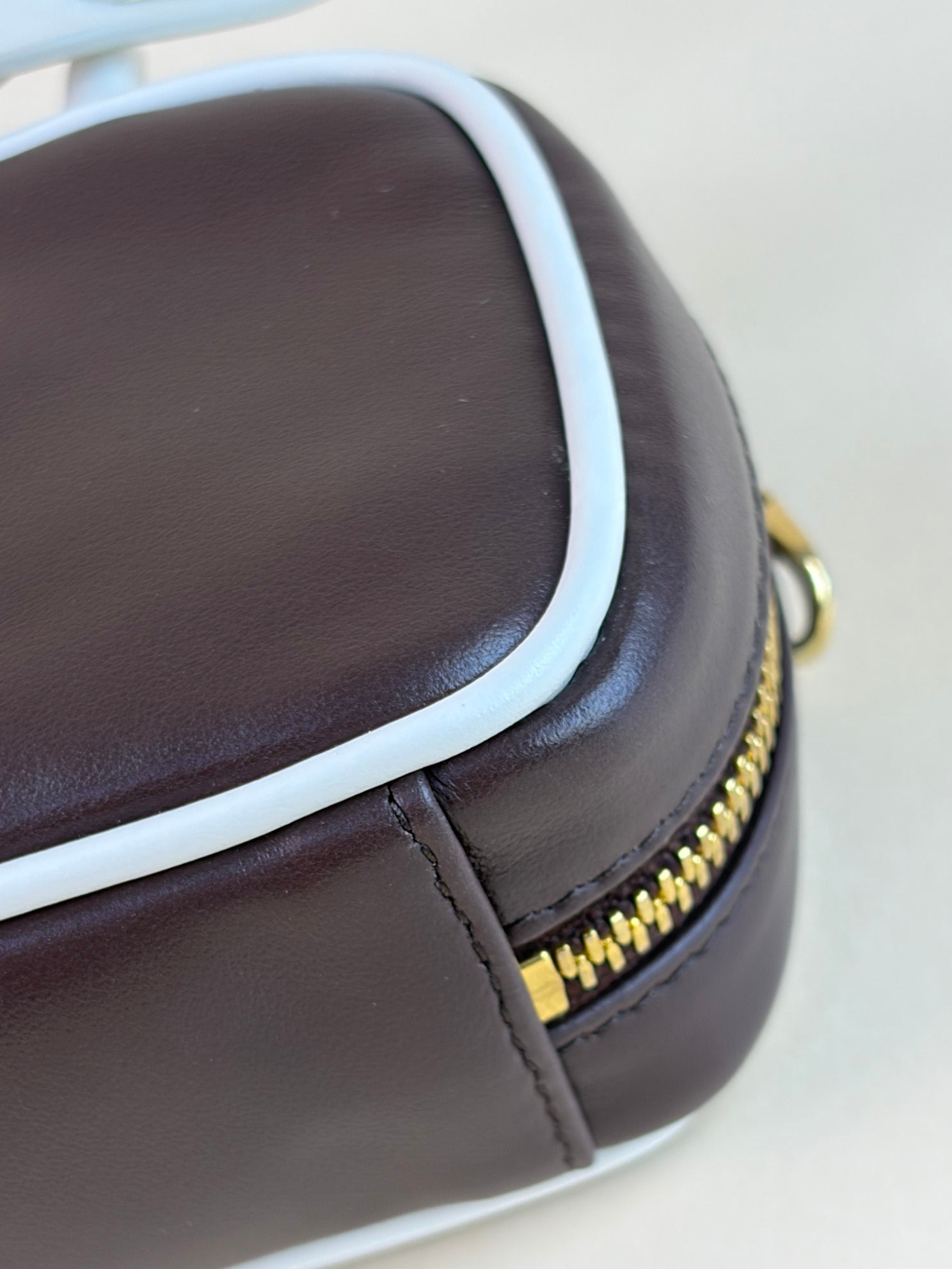 Miu Miu Bicolor Beau Micro Bag