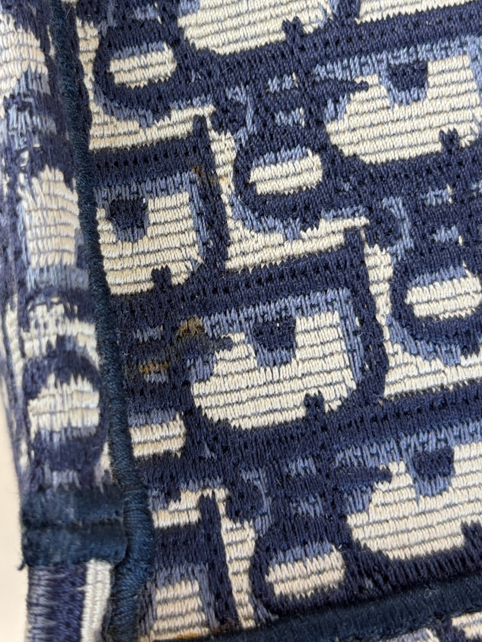 Christian Dior Blue Oblique Medium Book Tote Bag