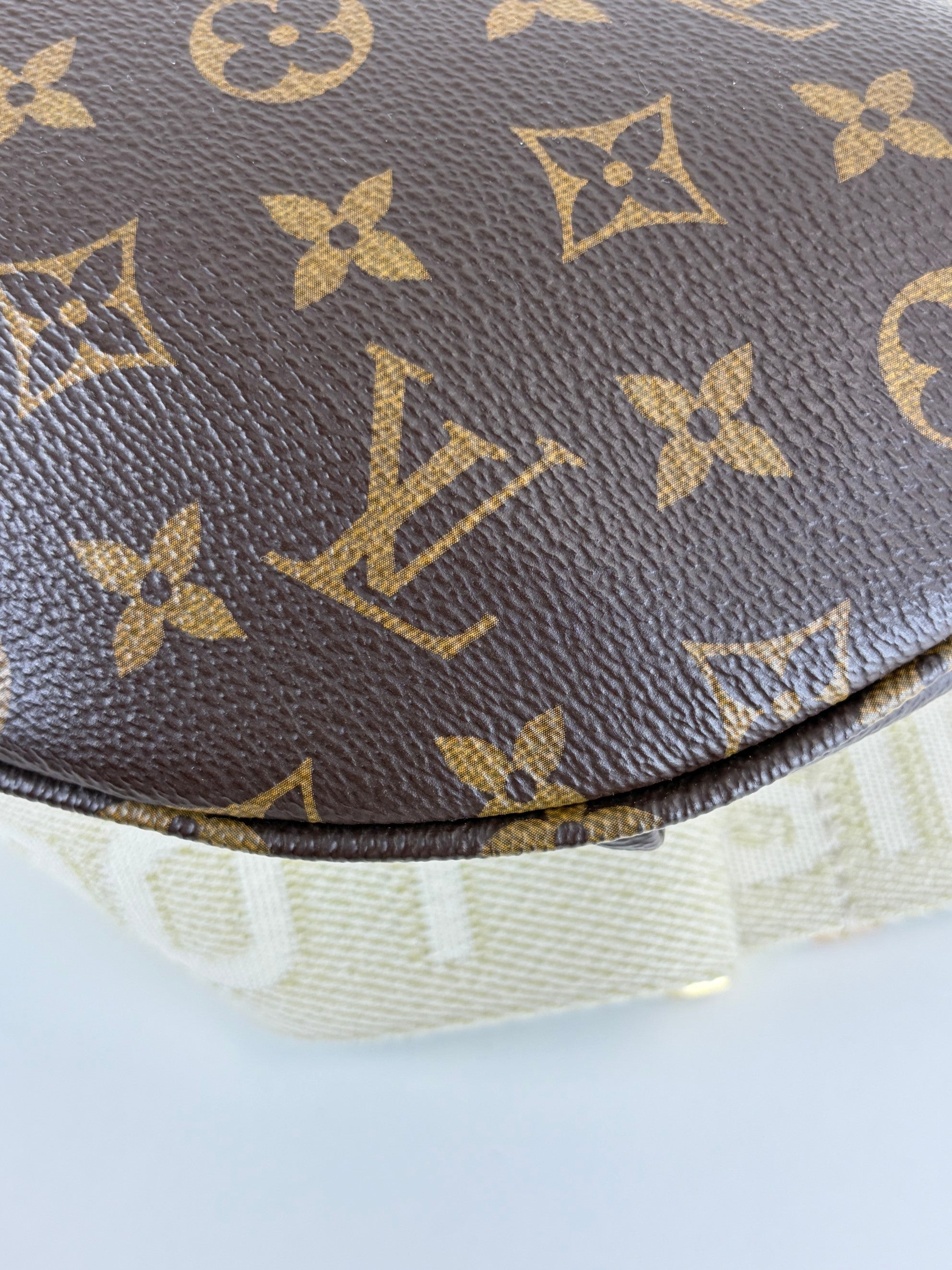 Louis Vuitton Monogram canvas High Rise Bumbag