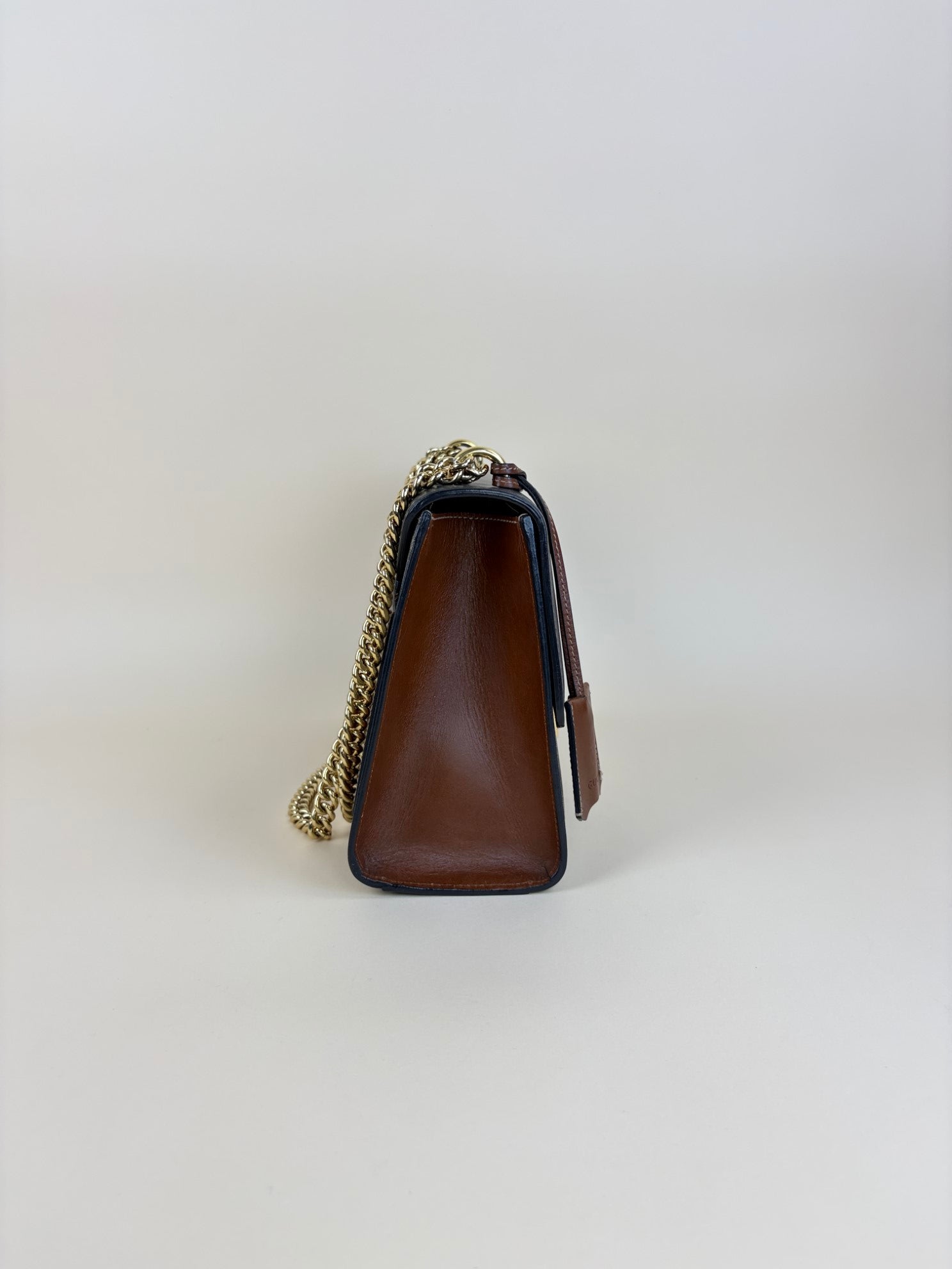 Gucci Bicolor GG Supreme Padlock meduim Bag