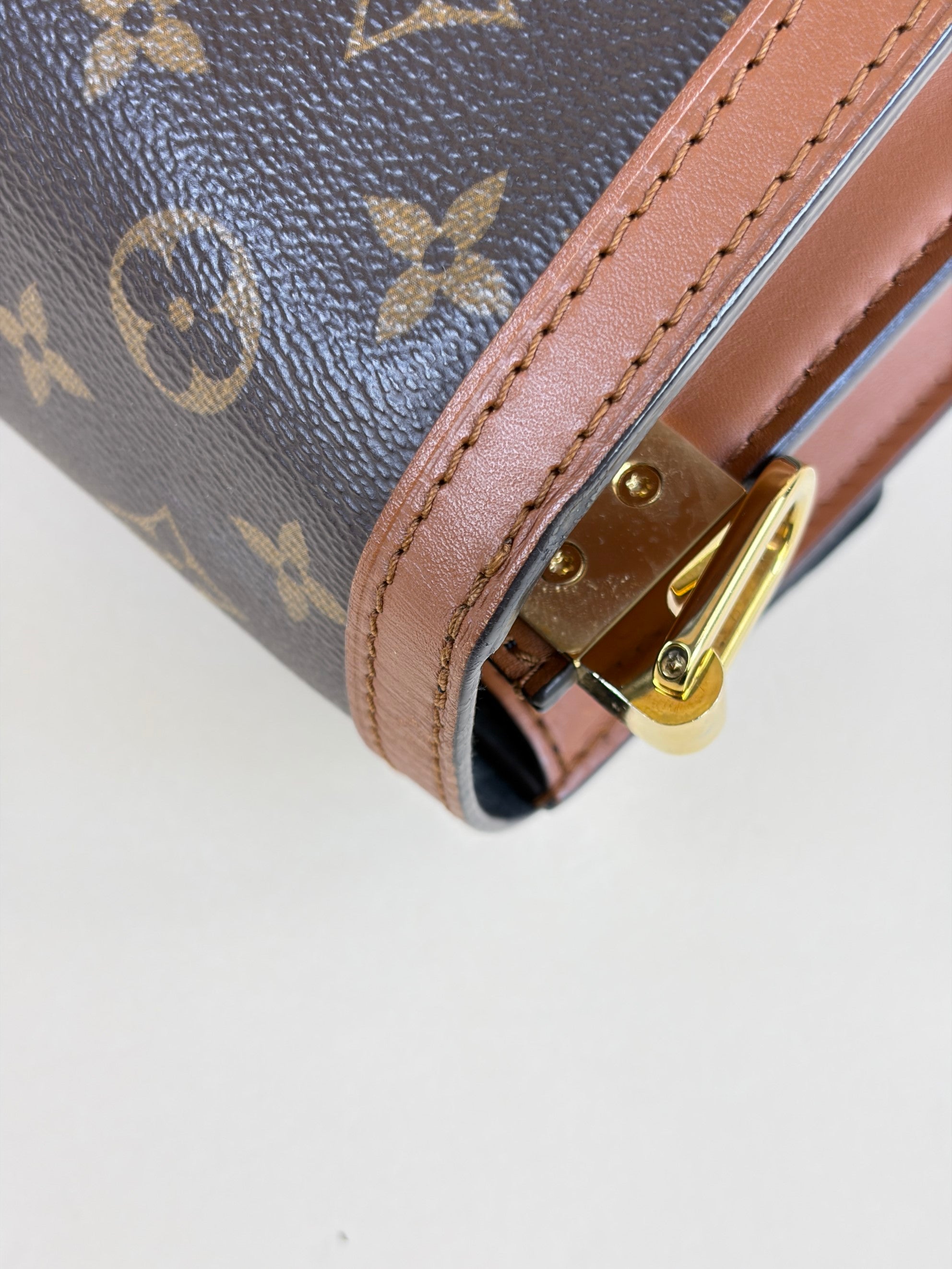 Louis Vuitton Monogram Reverse Dauphine Bag