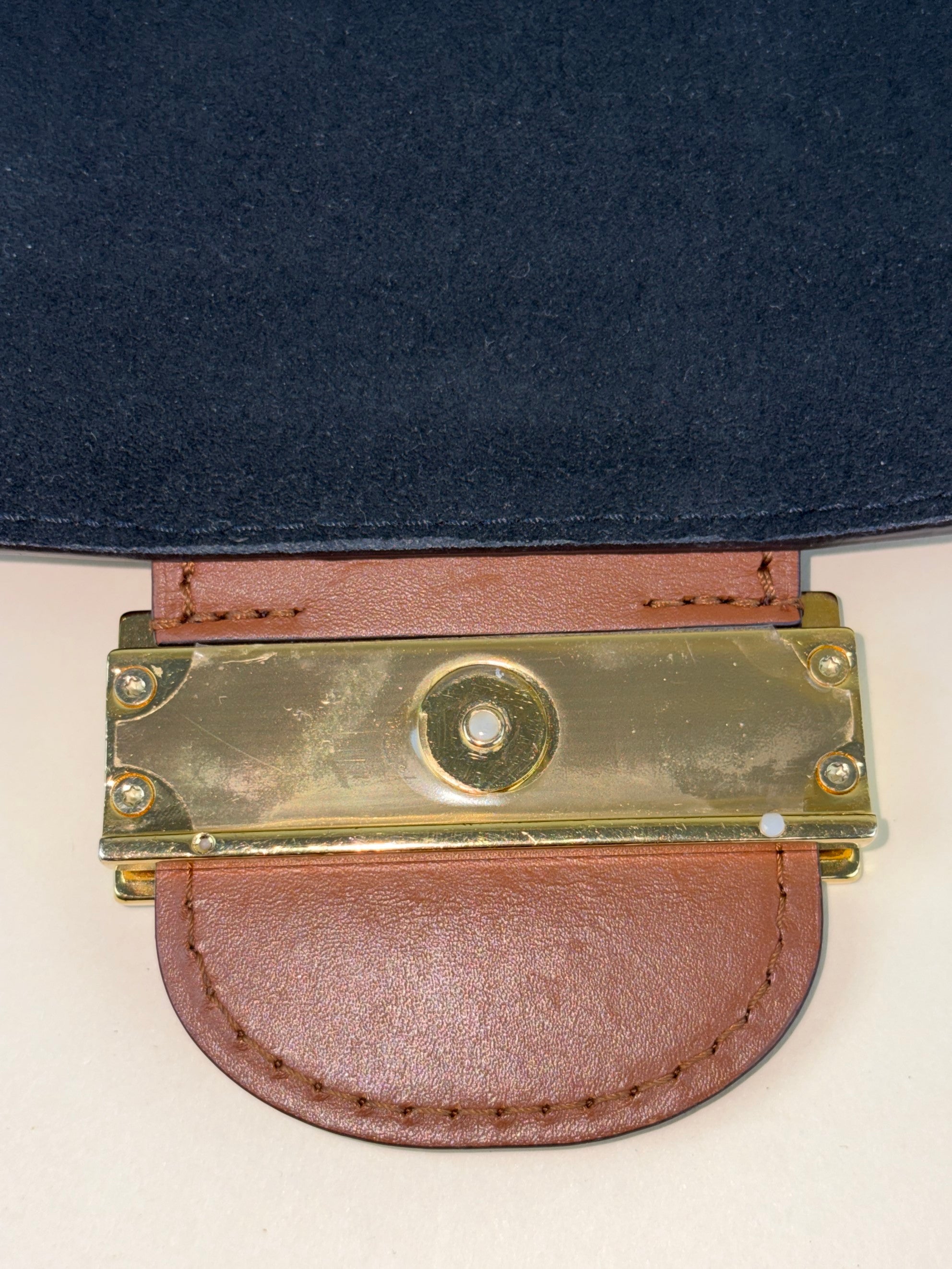 Louis Vuitton Monogram Reverse Dauphine Bag