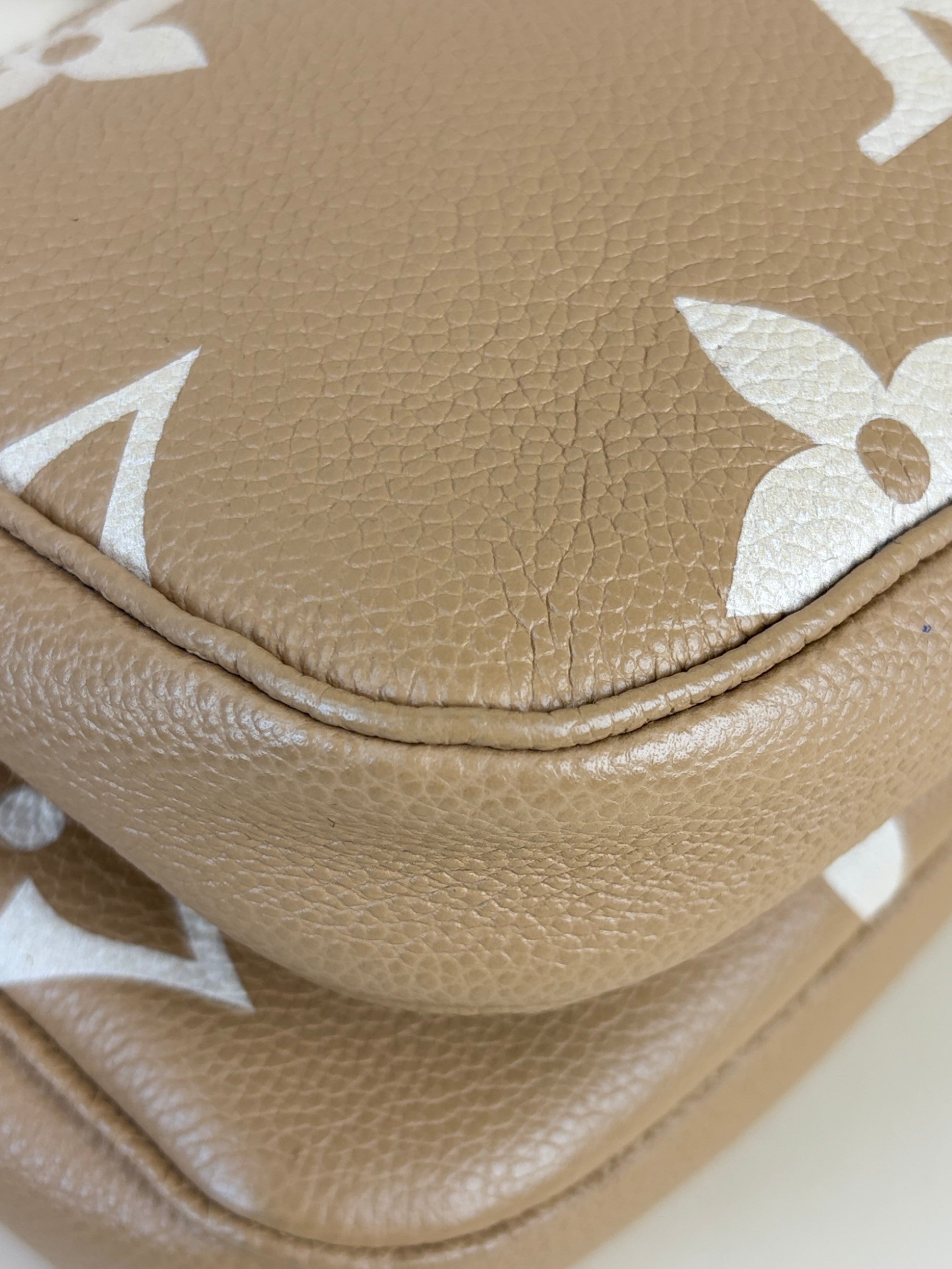 Louis Vuitton imprinted monogram giant multi pochette accessories bag