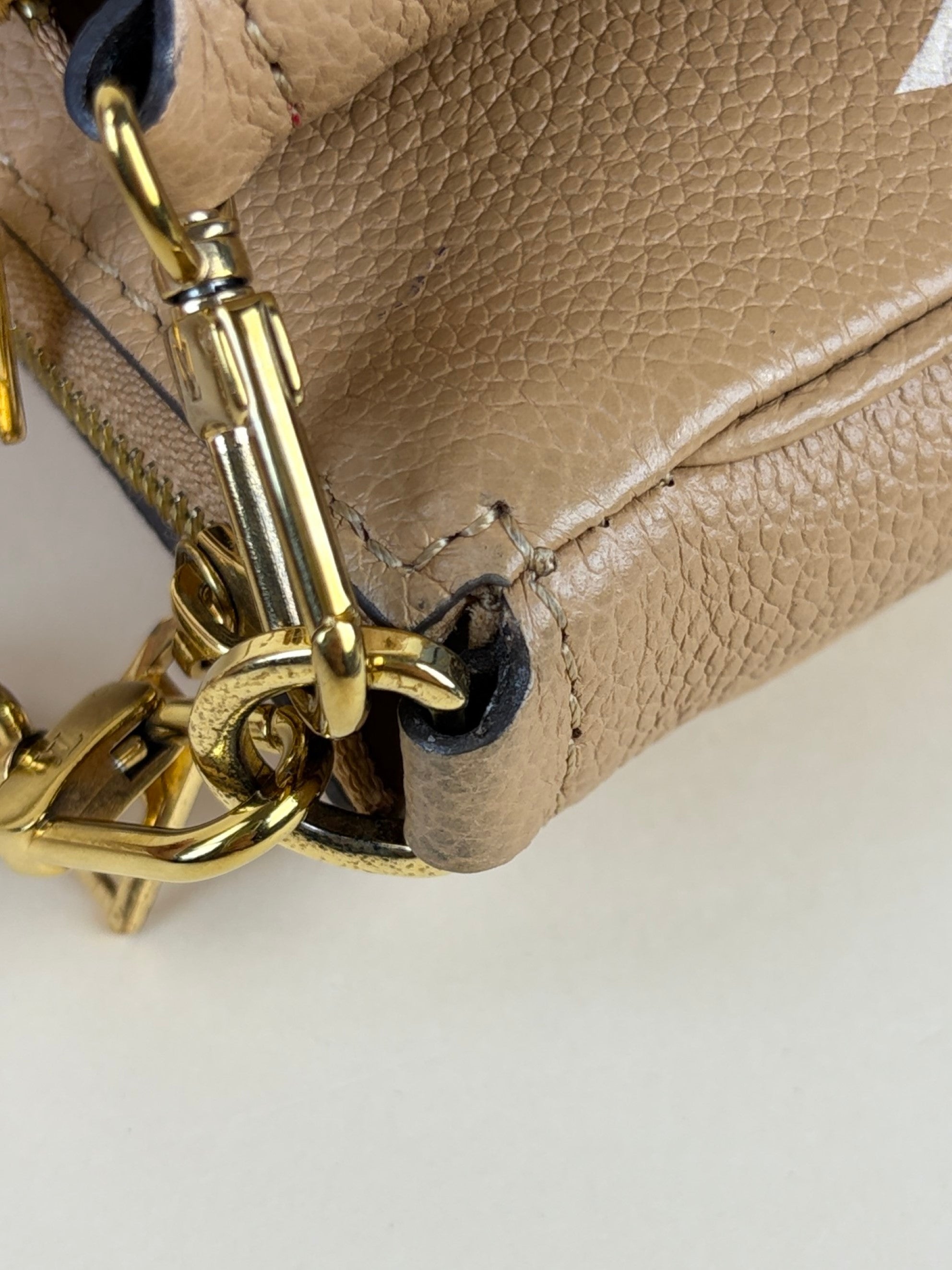 Louis Vuitton imprinted monogram giant multi pochette accessories bag