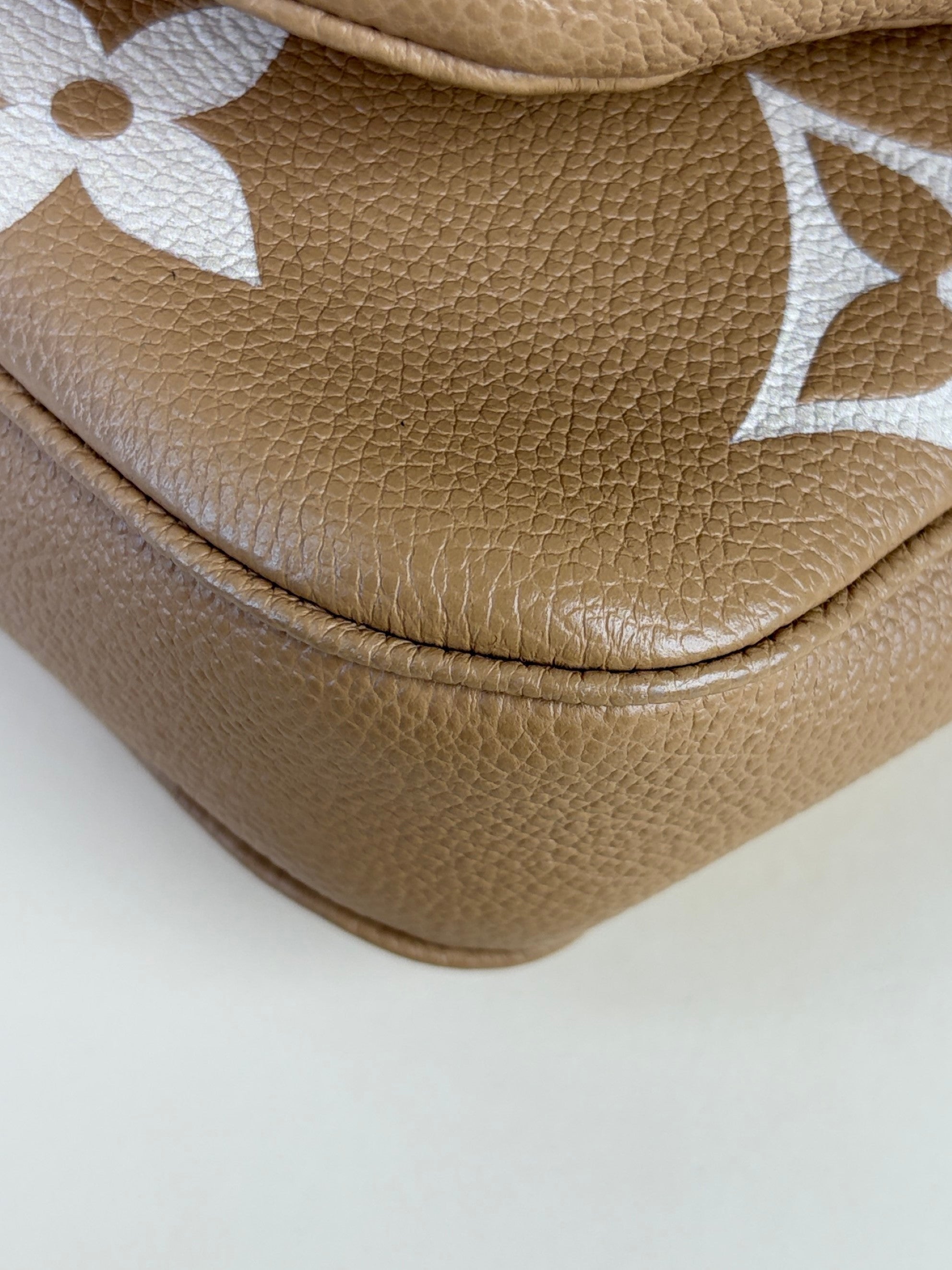 Louis Vuitton imprinted monogram giant multi pochette accessories bag