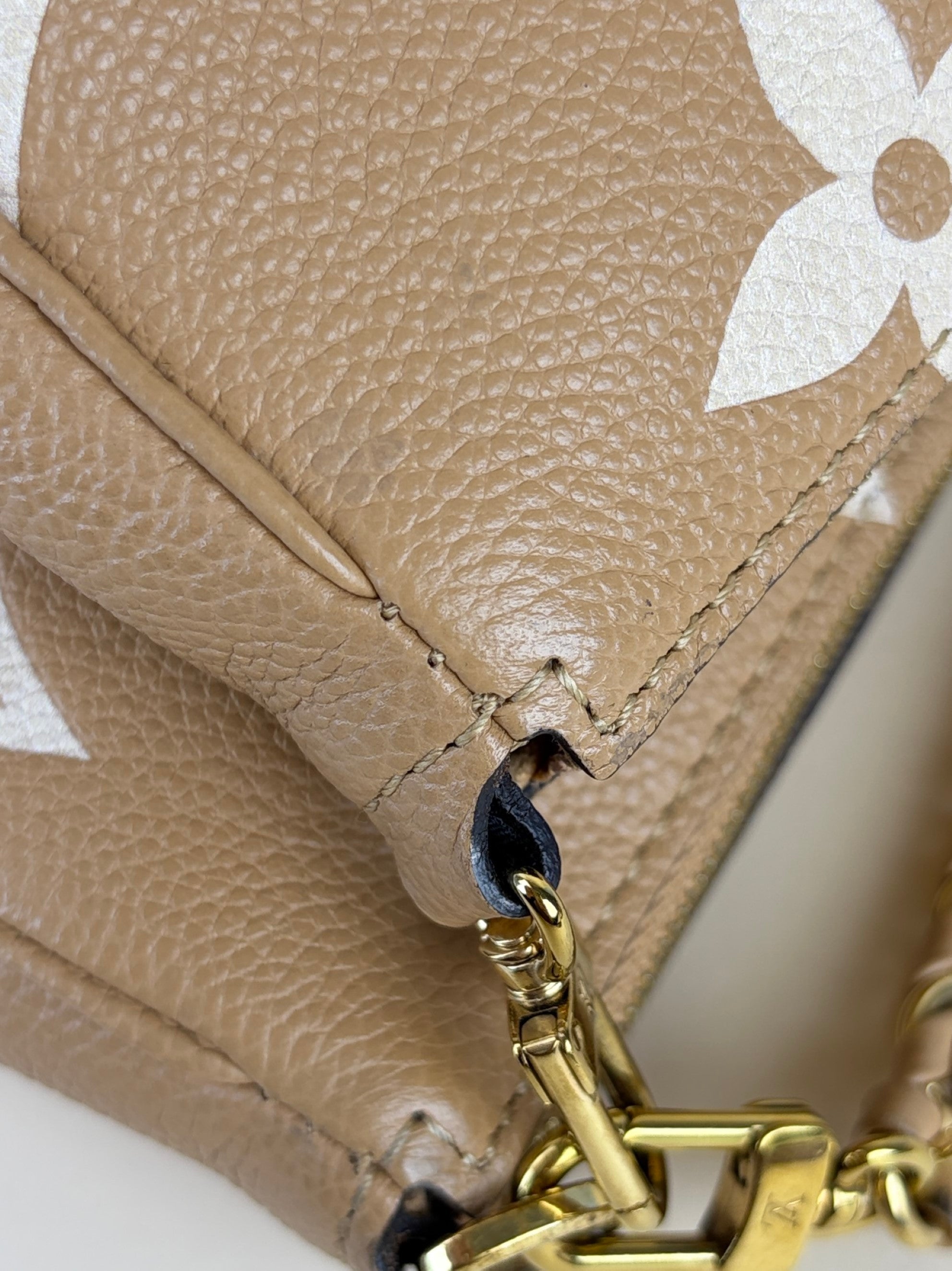 Louis Vuitton imprinted monogram giant multi pochette accessories bag