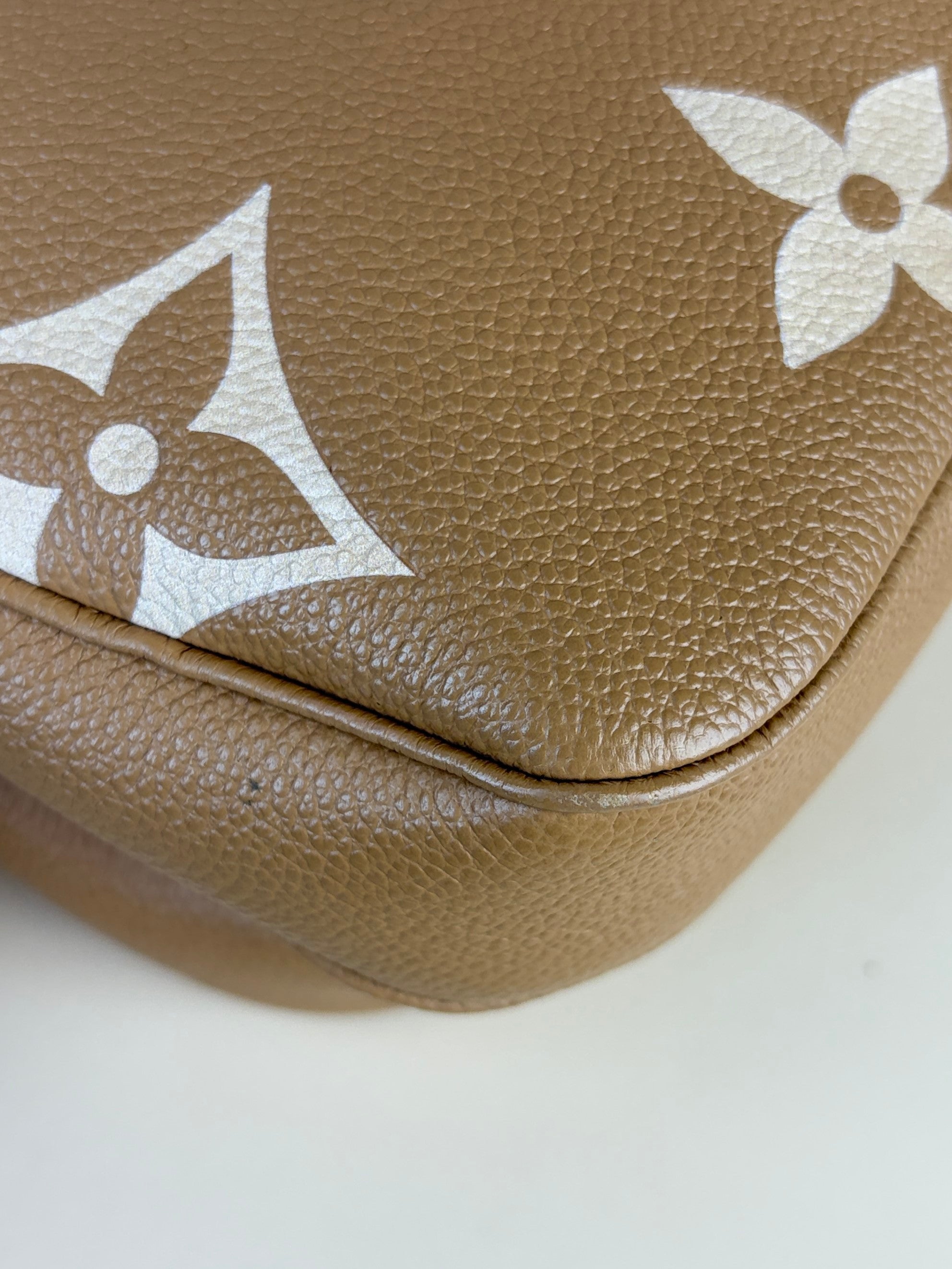 Louis Vuitton imprinted monogram giant multi pochette accessories bag