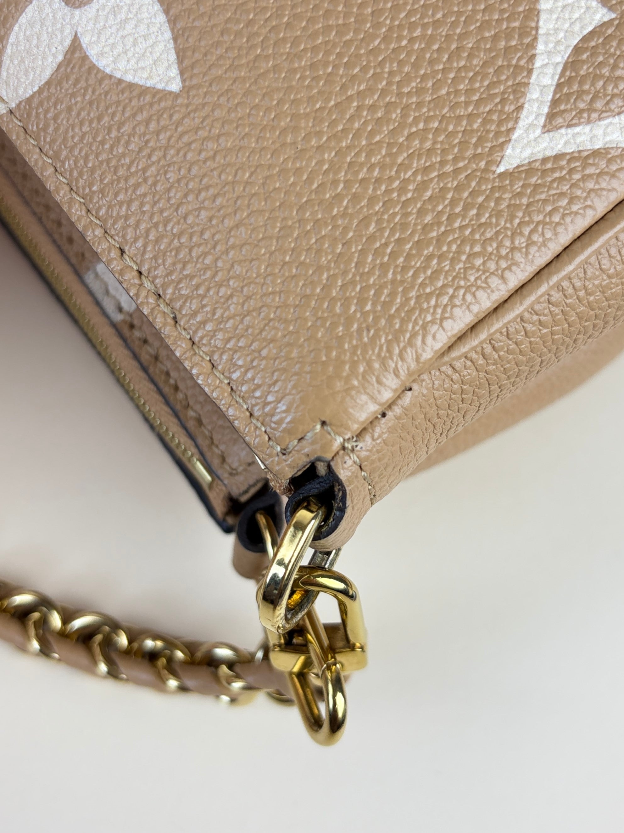 Louis Vuitton imprinted monogram giant multi pochette accessories bag