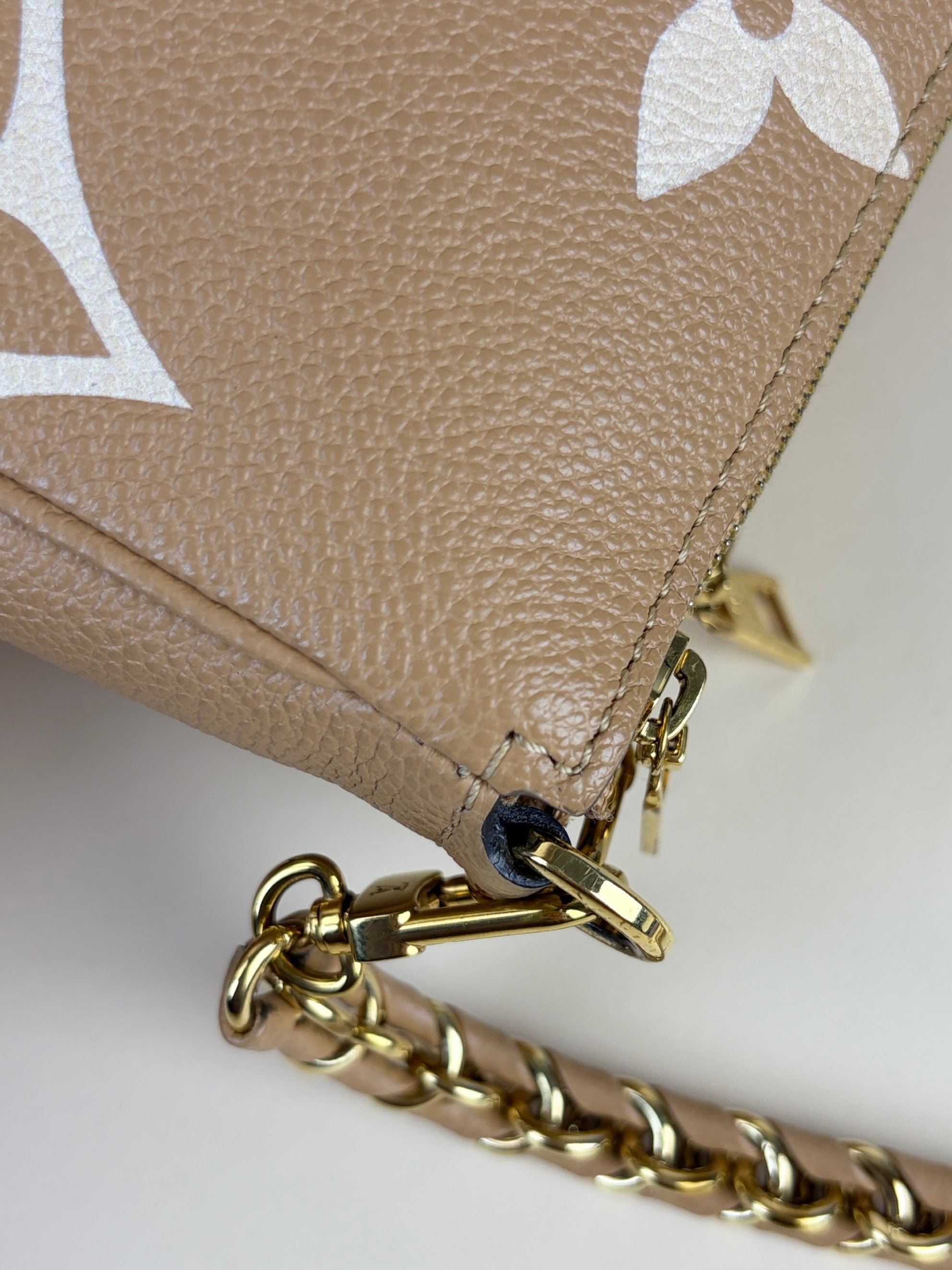 Louis Vuitton imprinted monogram giant multi pochette accessories bag