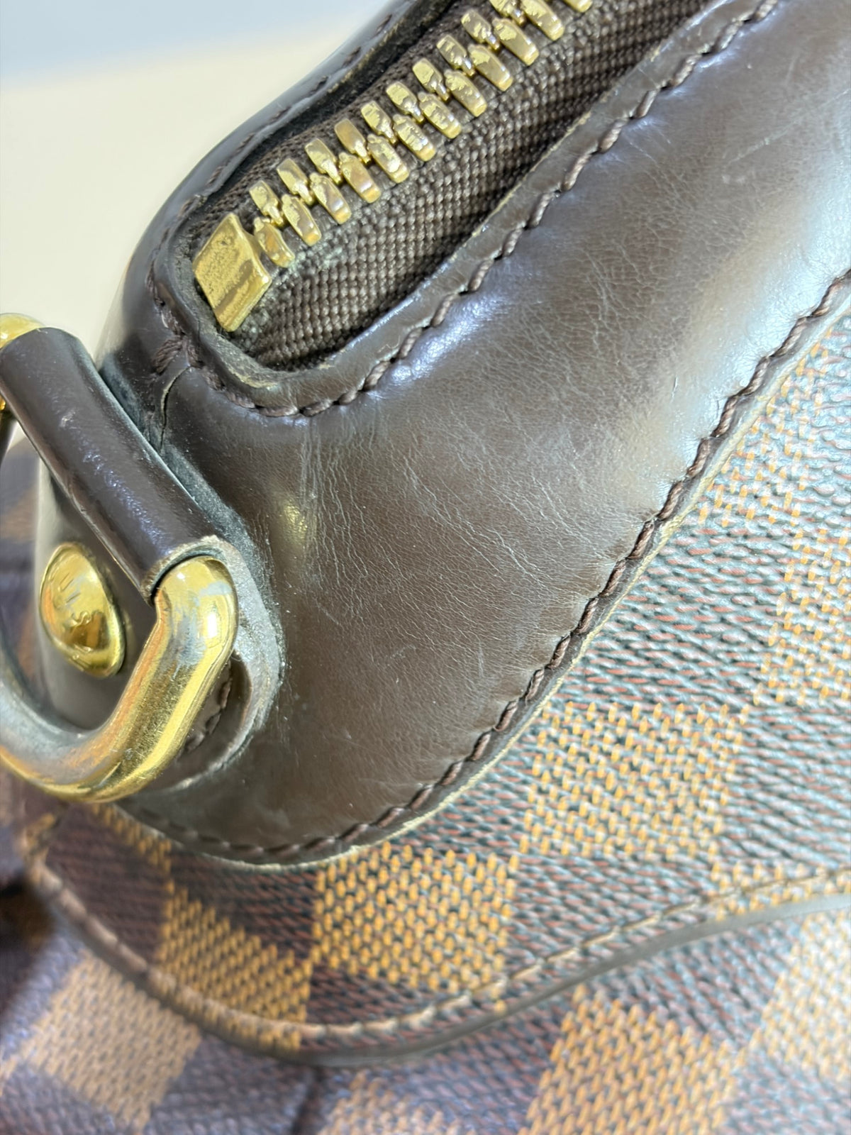 Louis Vuitton Damier Ebene Trevi GM Bag