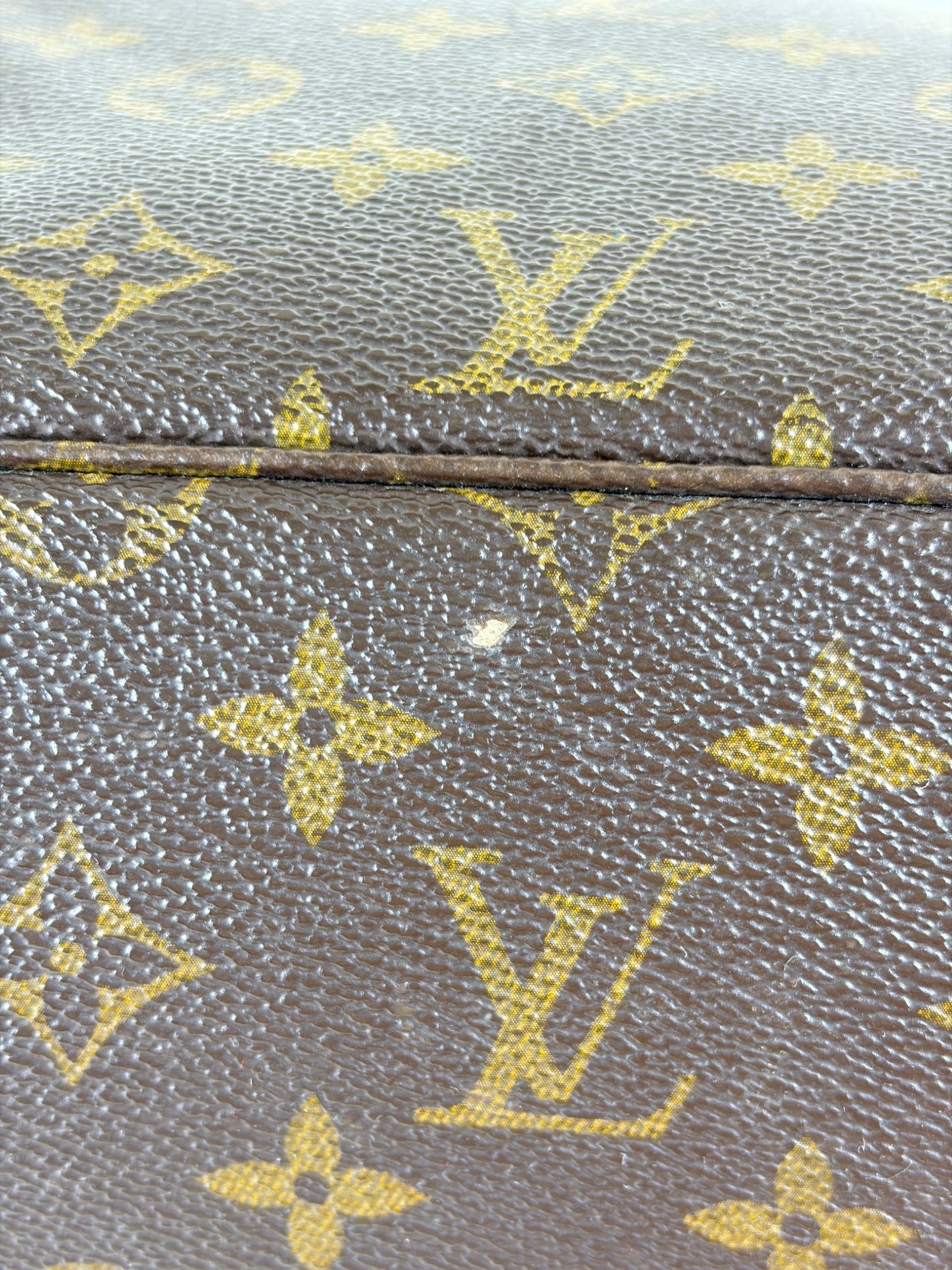 Louis Vuitton Monogram canvas MM Neverfull Bag