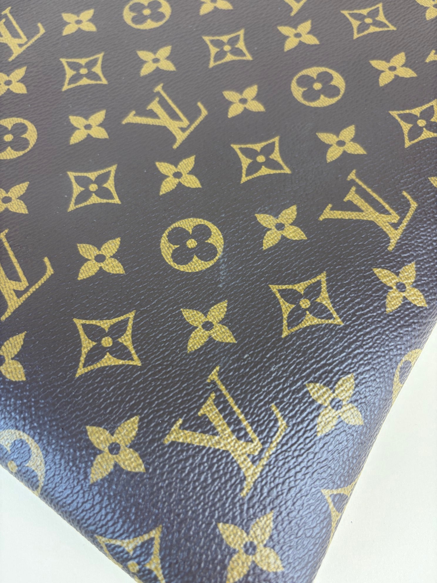 Louis Vuitton Monogram canvas pouch