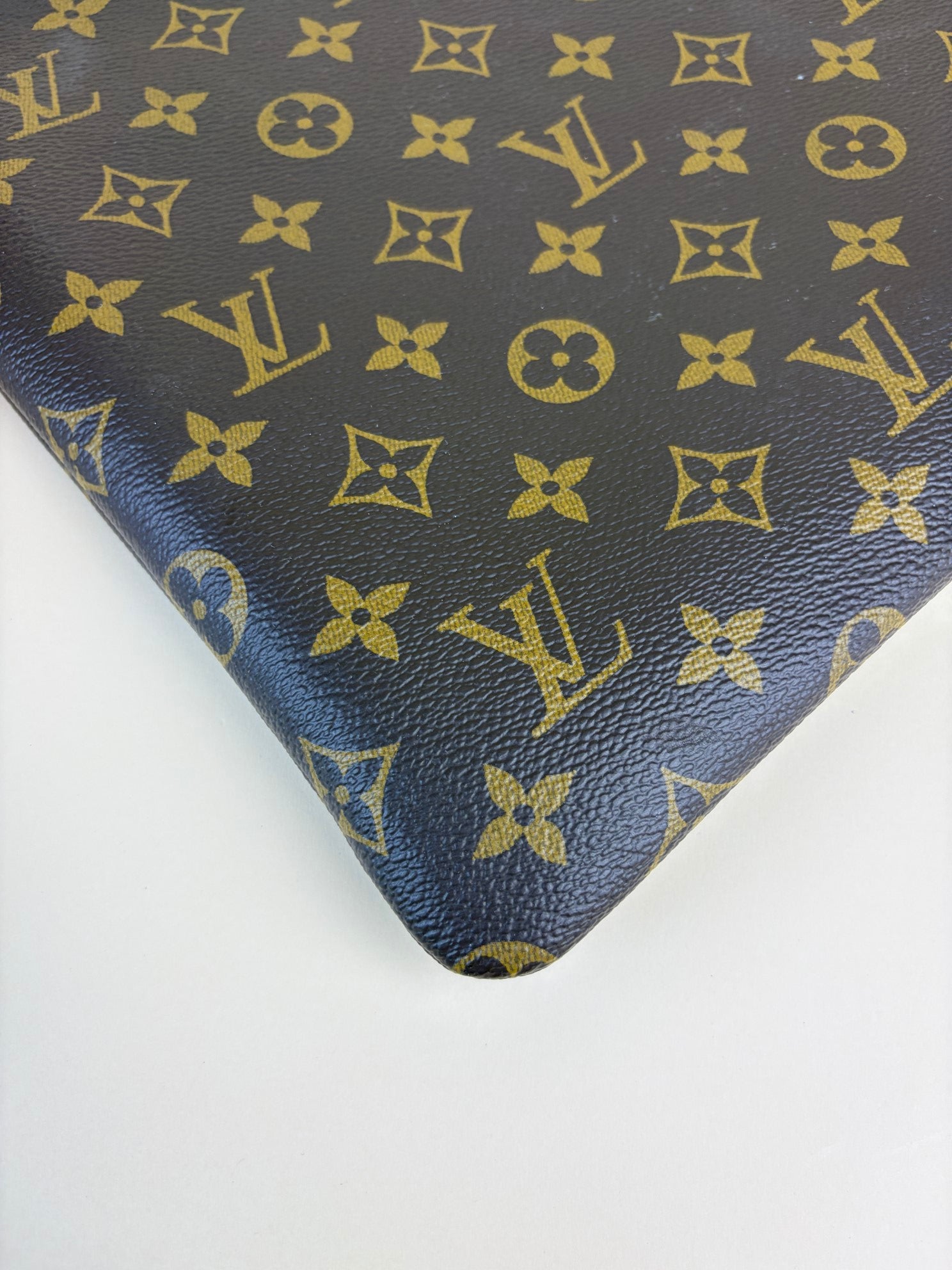 Louis Vuitton Monogram canvas pouch