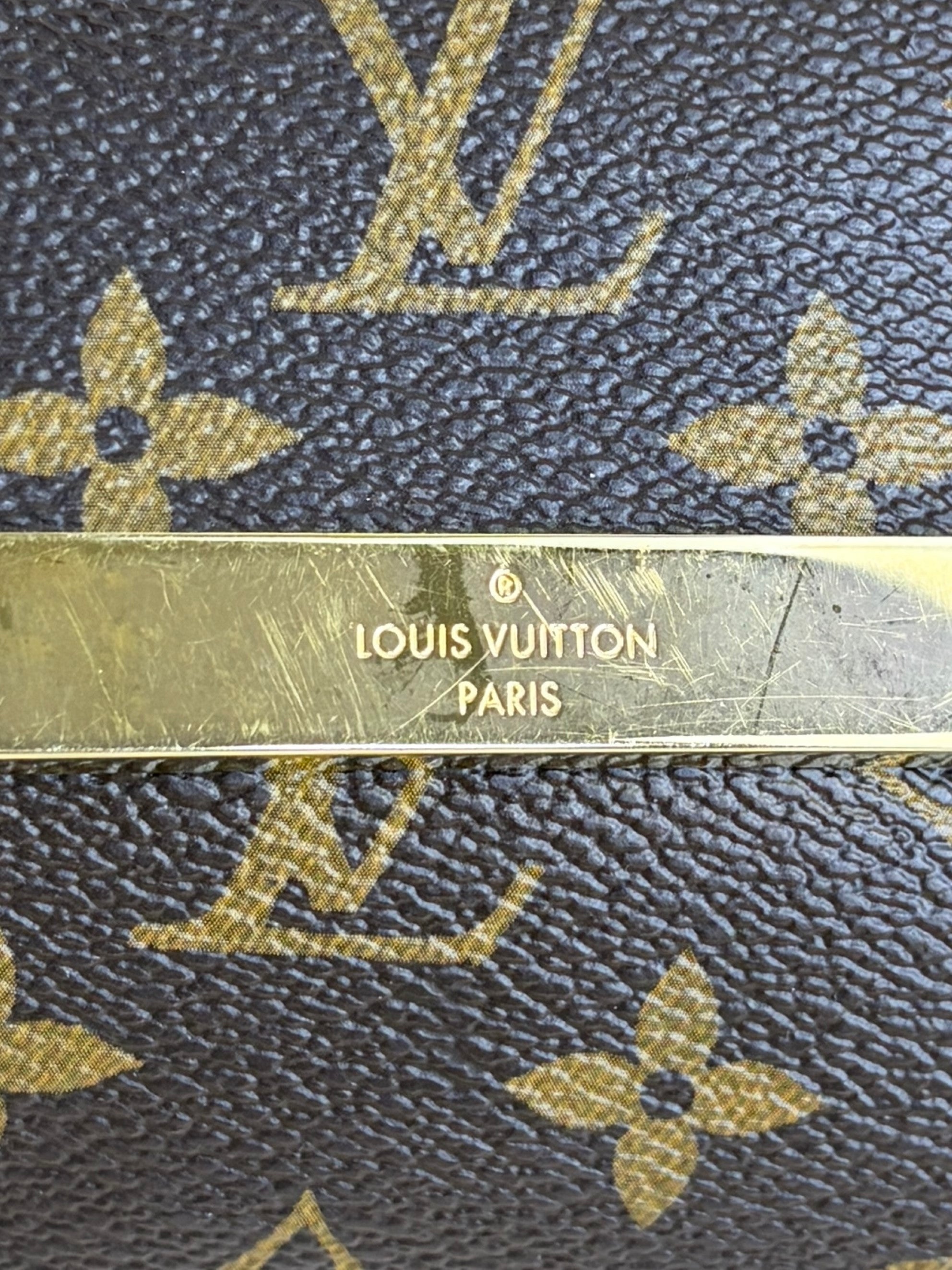 Louis Vuitton Monogram canvas favorite mm bag