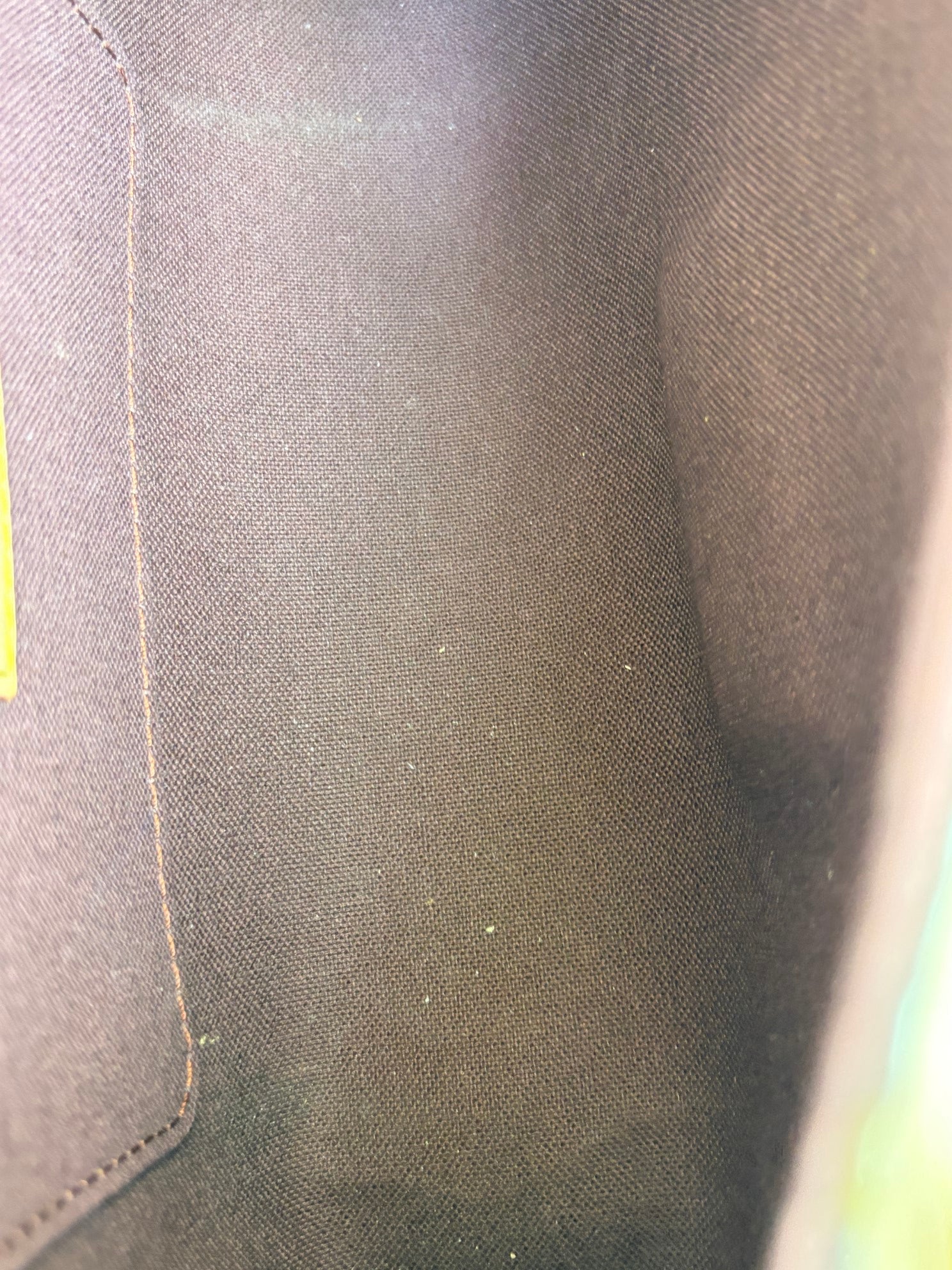 Louis Vuitton Monogram canvas favorite mm bag