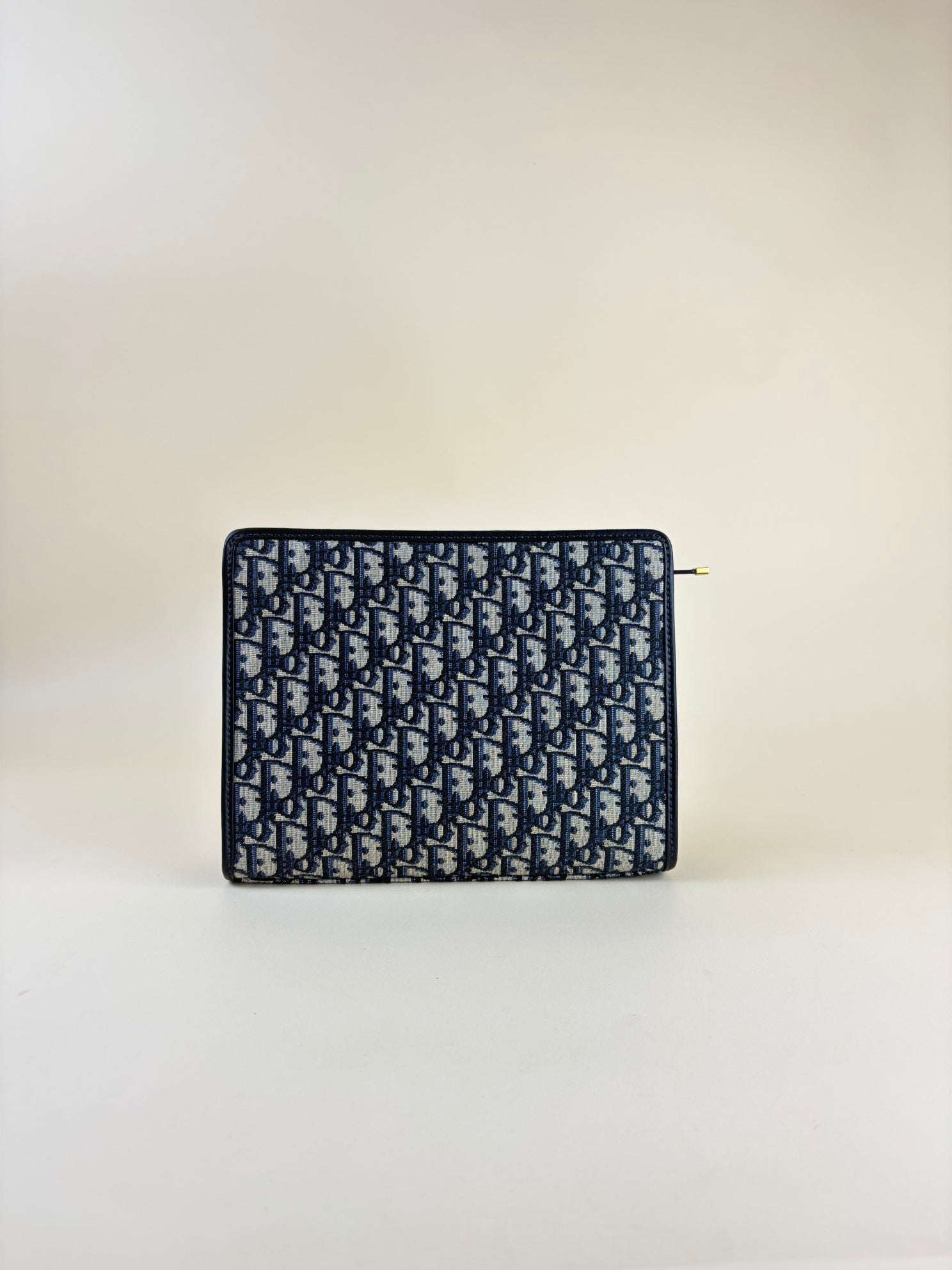 Dior blue Montaigne pouch clutch