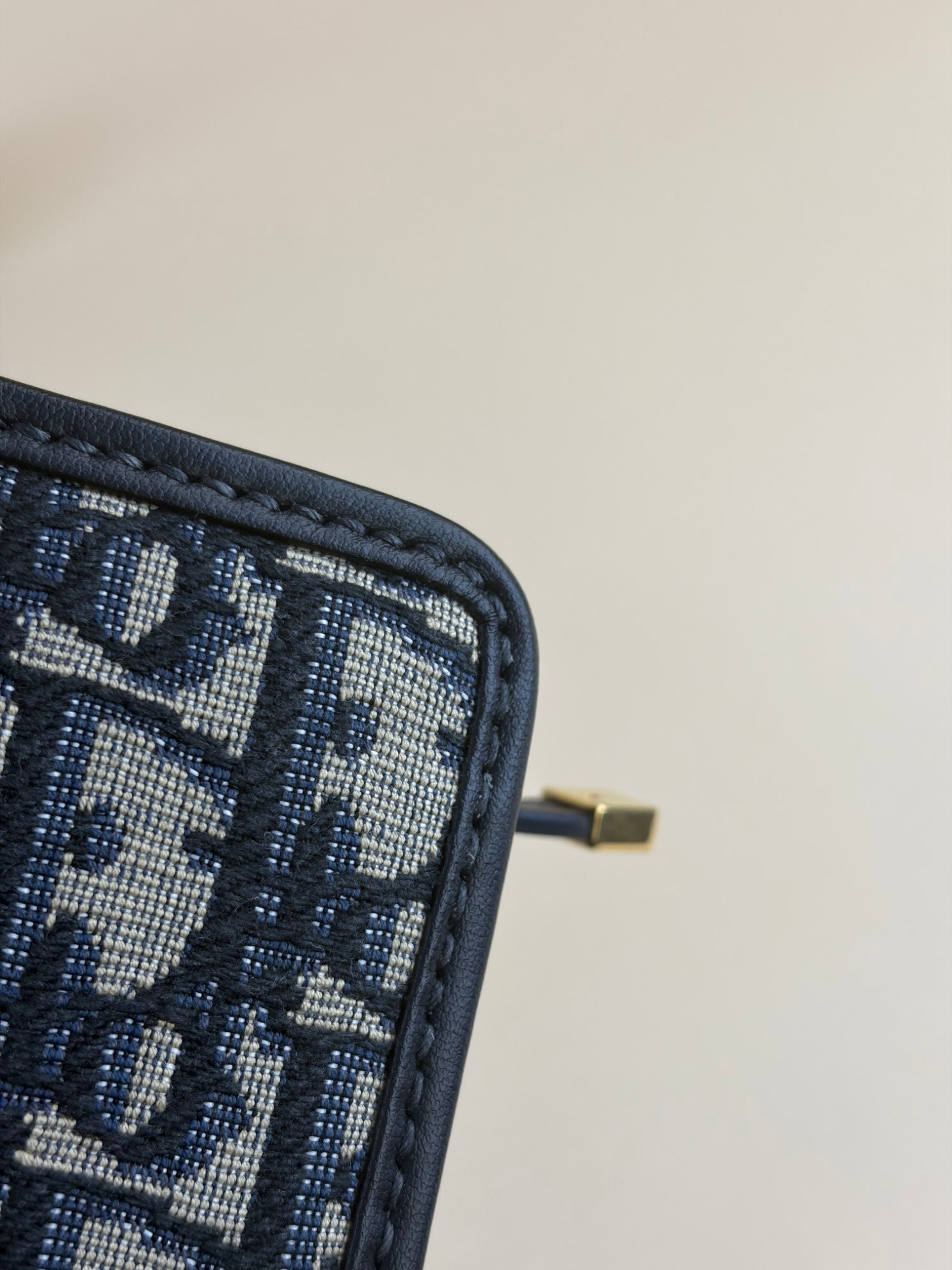 Dior blue Montaigne pouch clutch