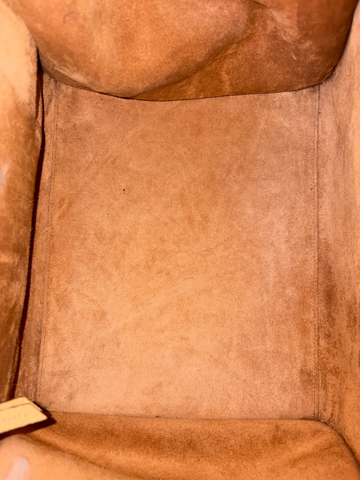 Celine dark beige grain ed calfskin medium phantom luggage tote bag