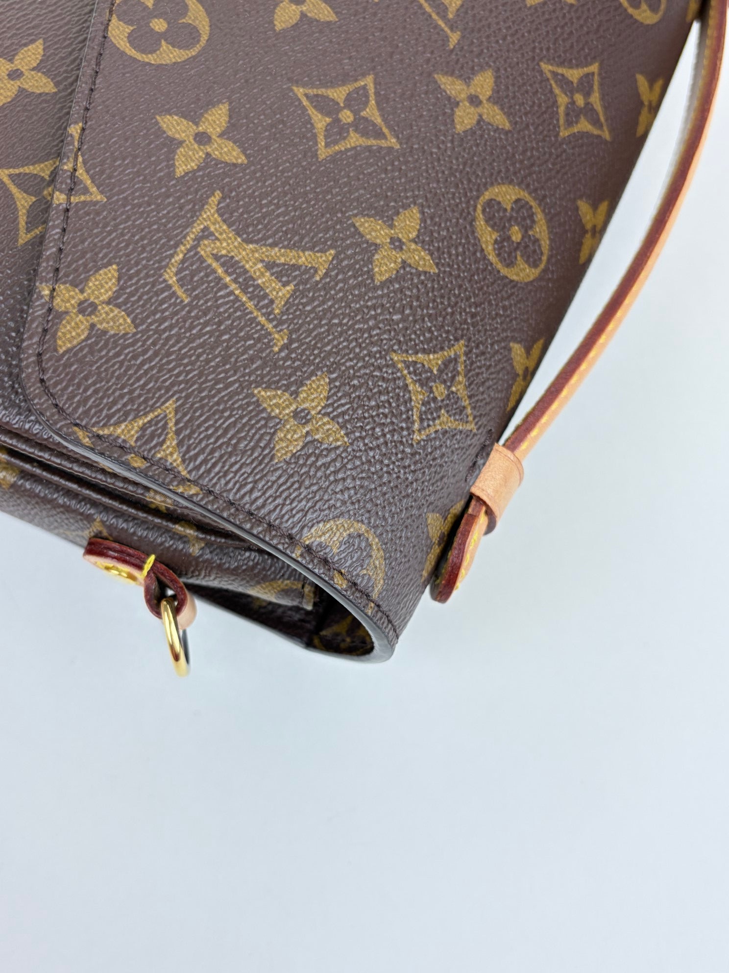 Louis Vuitton Monogram canvas Pochette Metis Bag