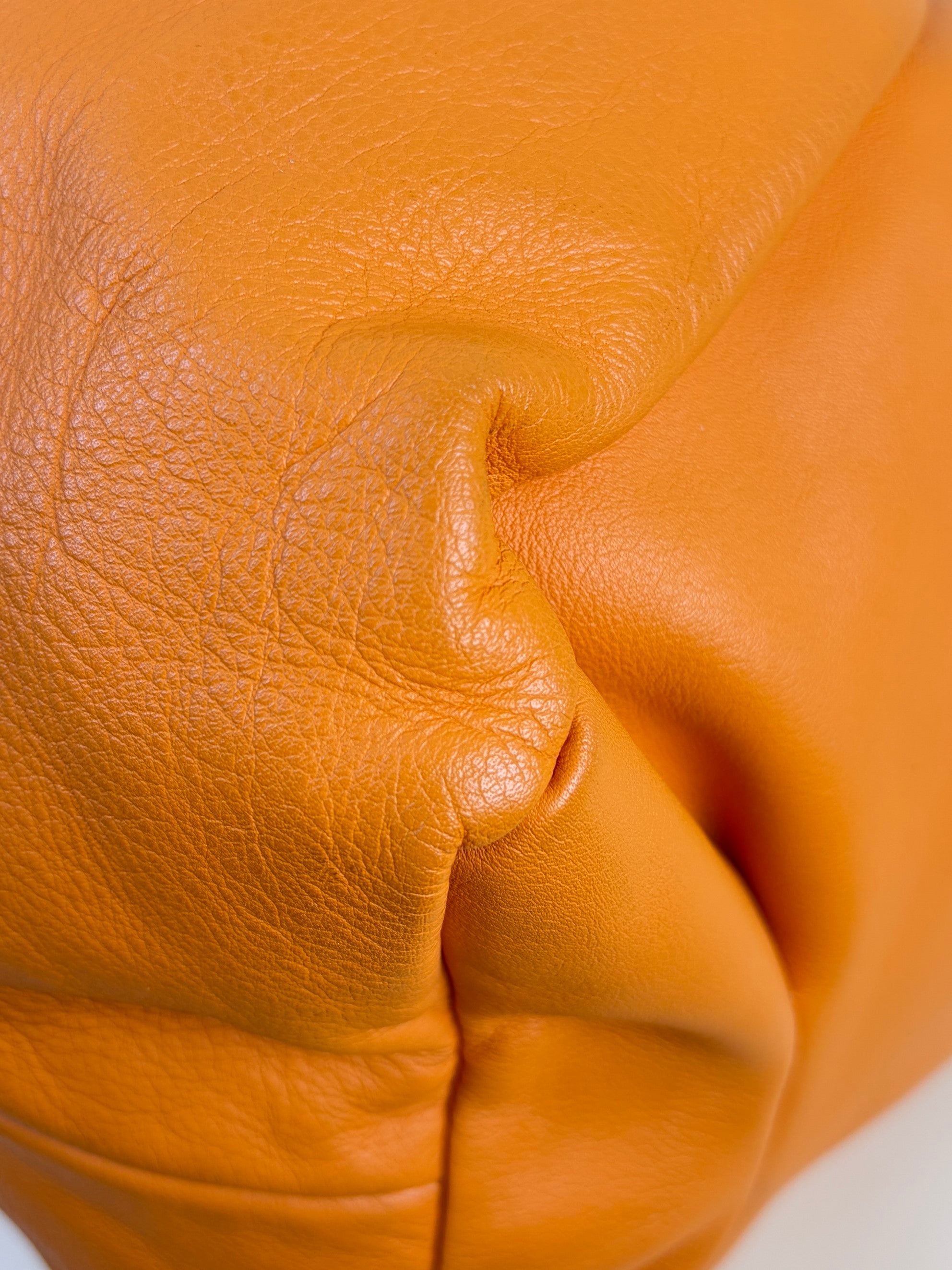 Bottega Veneta Orange Large The pouch
