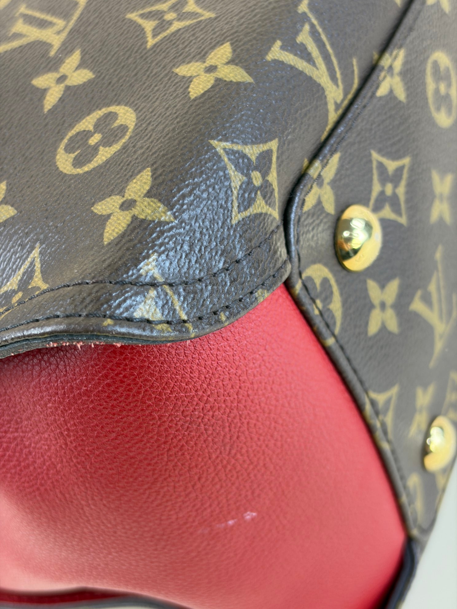 Louis Vuitton Monogram Cerise Gaia Bag