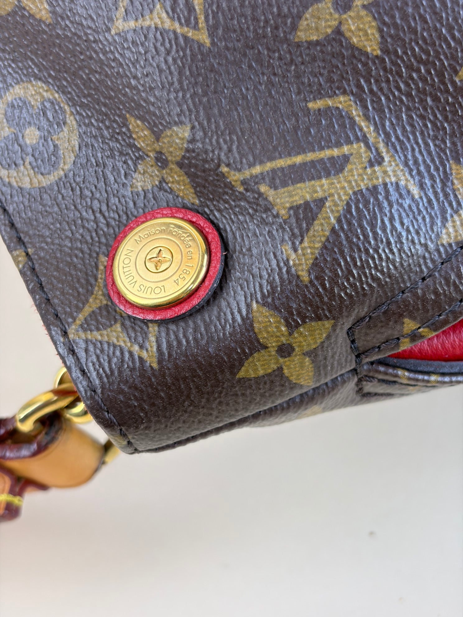 Louis Vuitton Monogram Cerise Gaia Bag