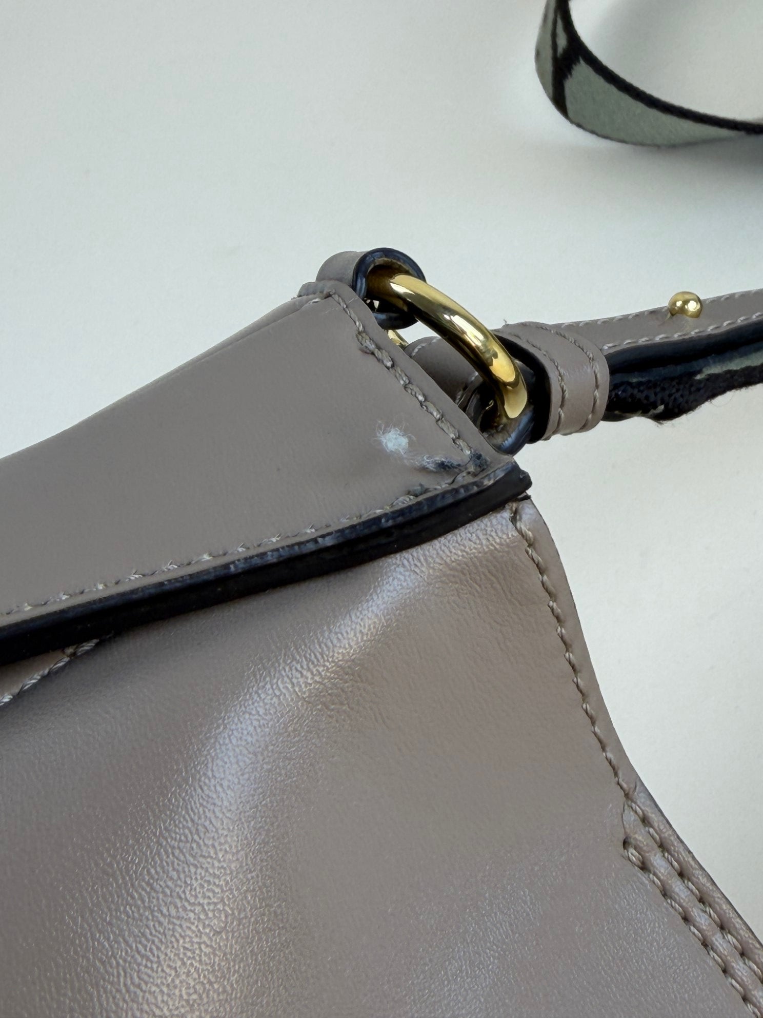 Stella Mccartney Beige Tiny Logo Square Crossbody Bag