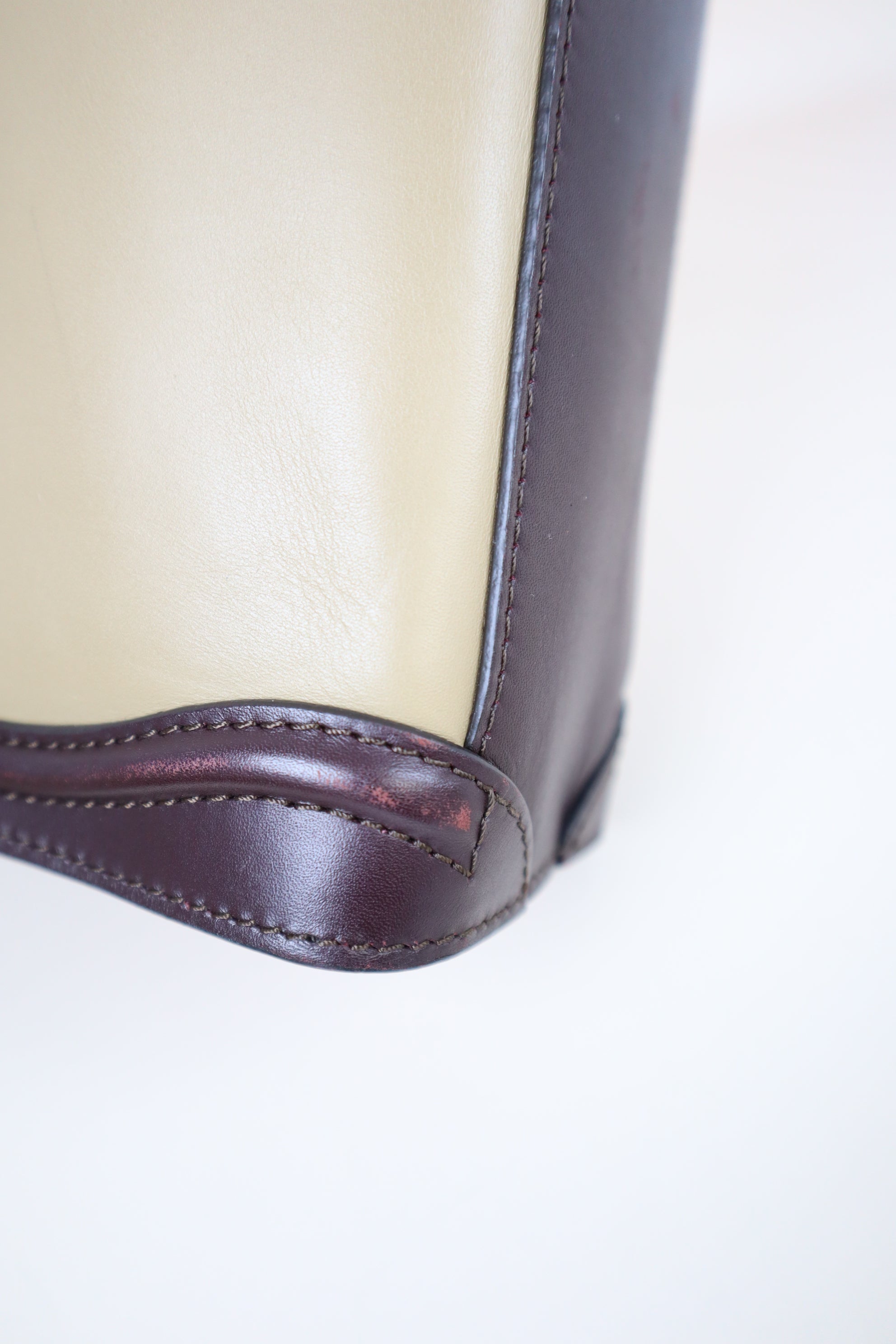 Celine Tricolor Nano Luggage Tote Bag