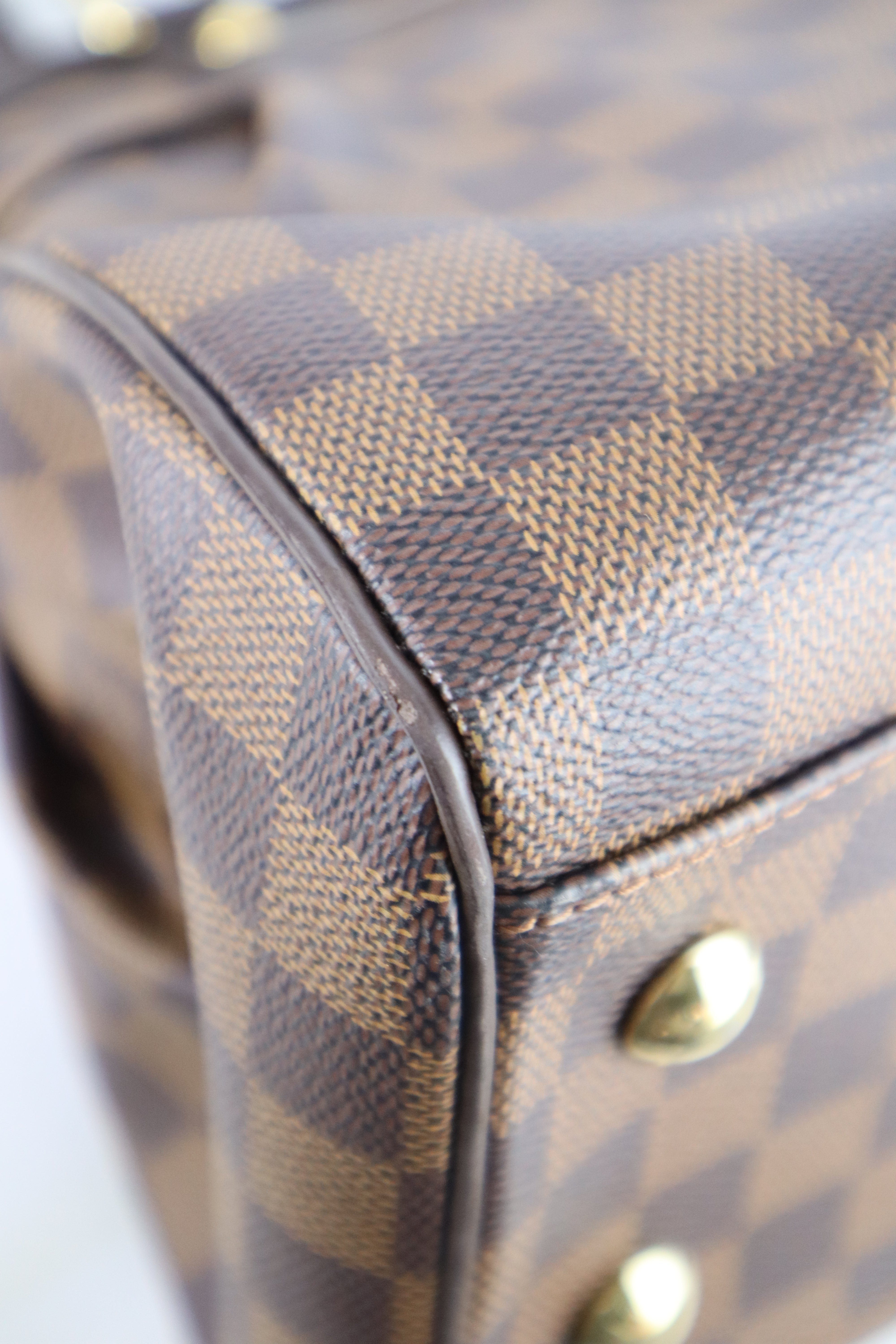 Louis Vuitton Damier Ebene Trevi PM Bag