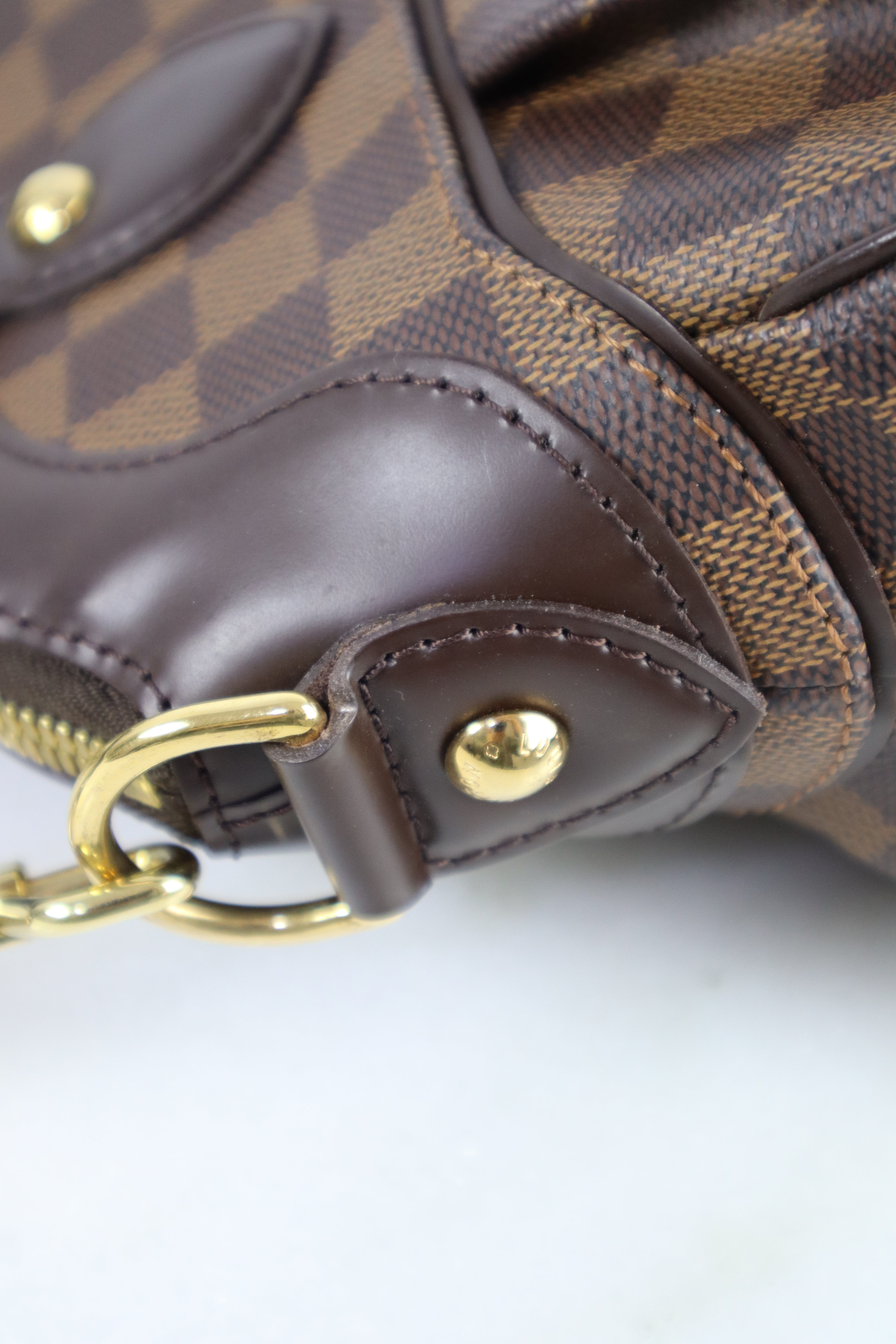 Louis Vuitton Damier Ebene Trevi PM Bag