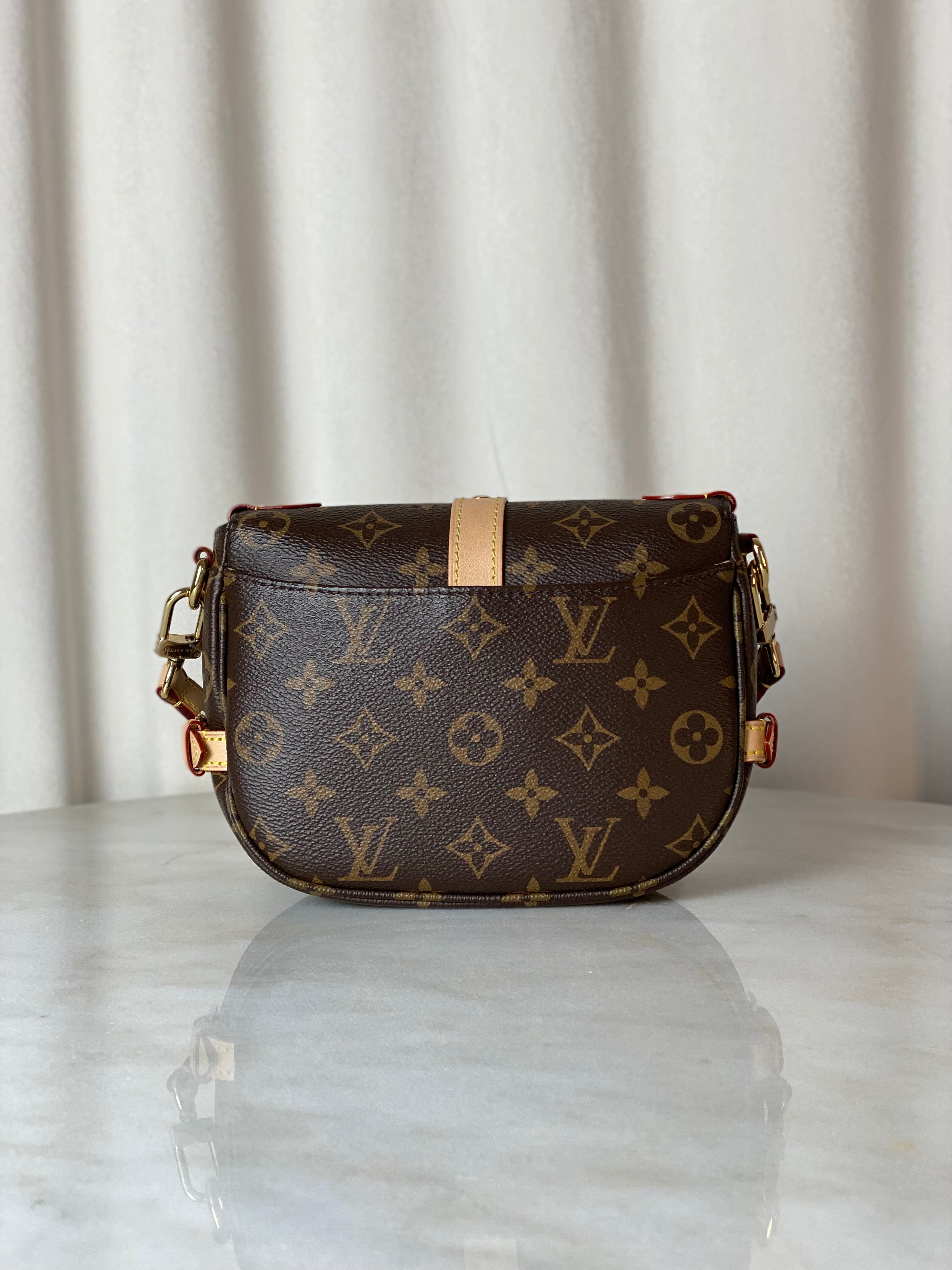 Louis Vuitton Monogram Saumur BB Flap Bag