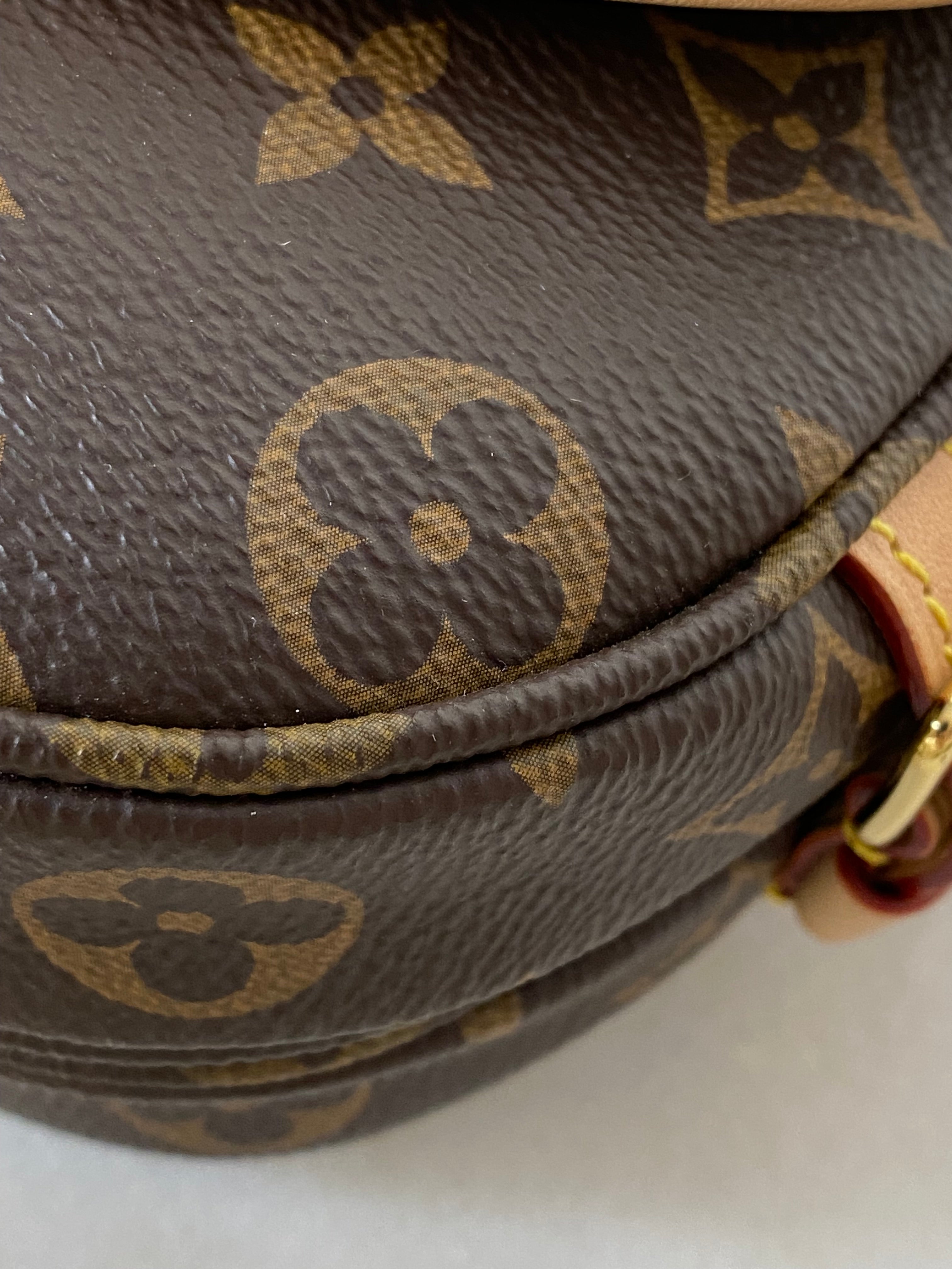 Louis Vuitton Monogram Saumur BB Flap Bag