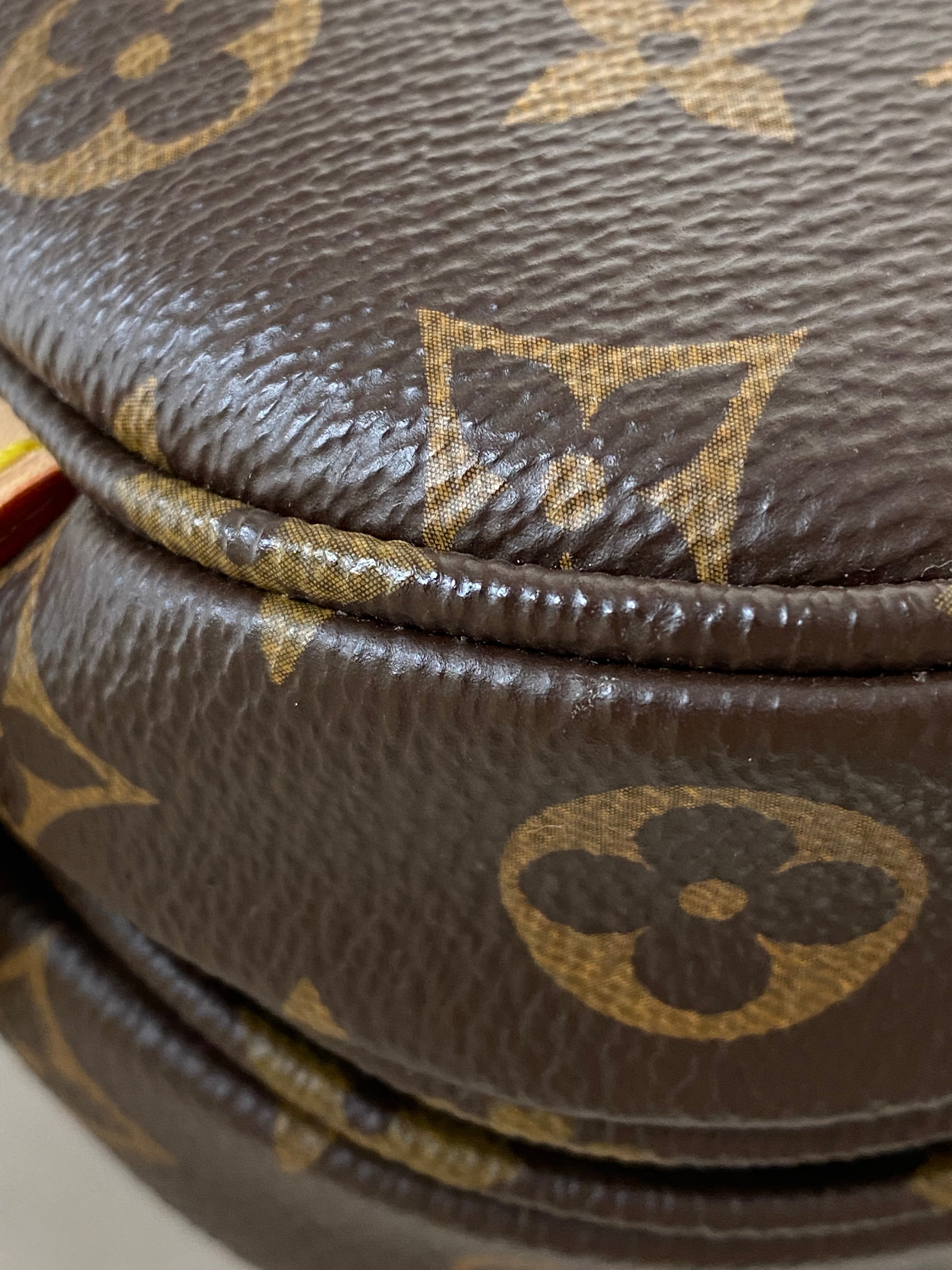 Louis Vuitton Monogram Saumur BB Flap Bag