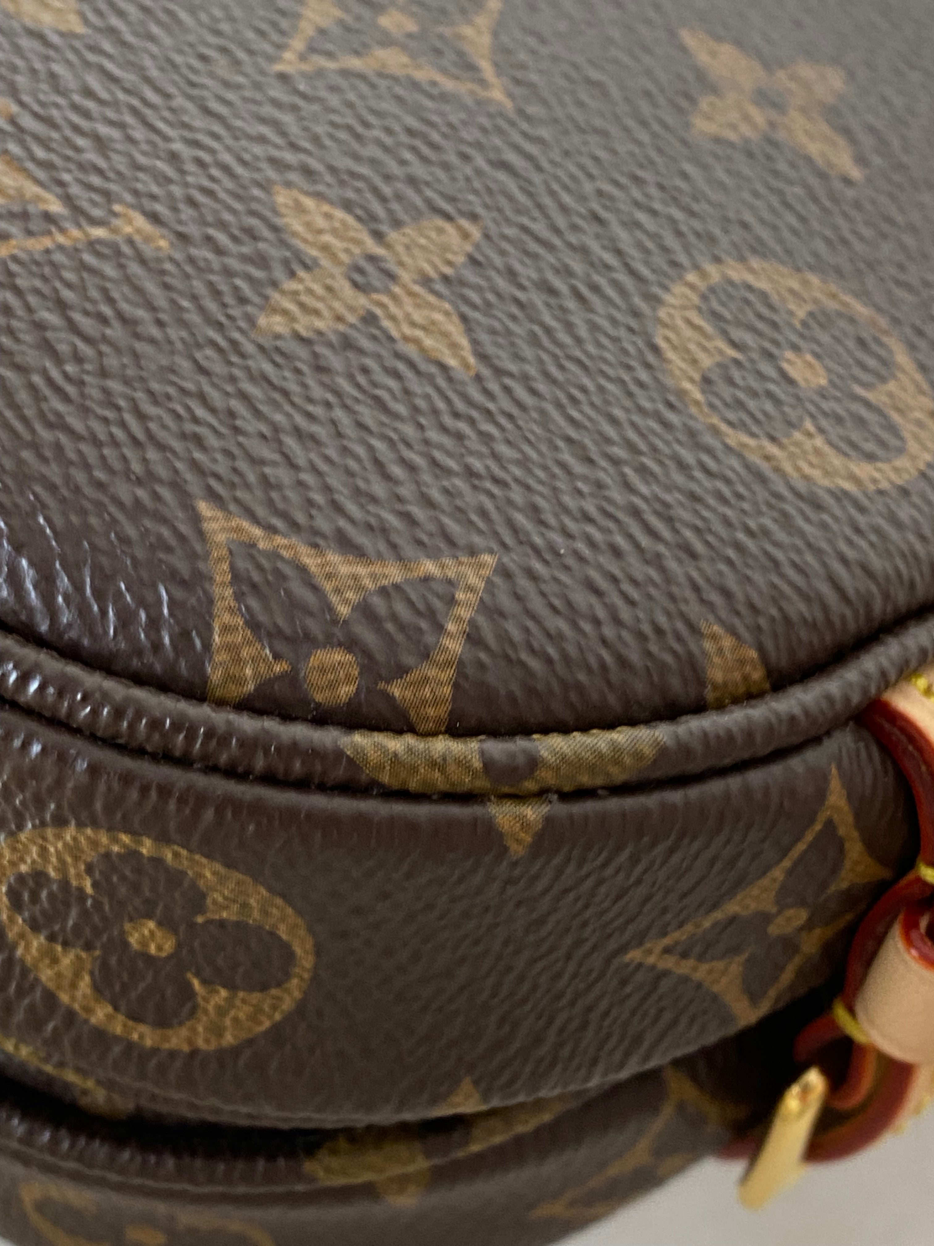 Louis Vuitton Monogram Saumur BB Flap Bag