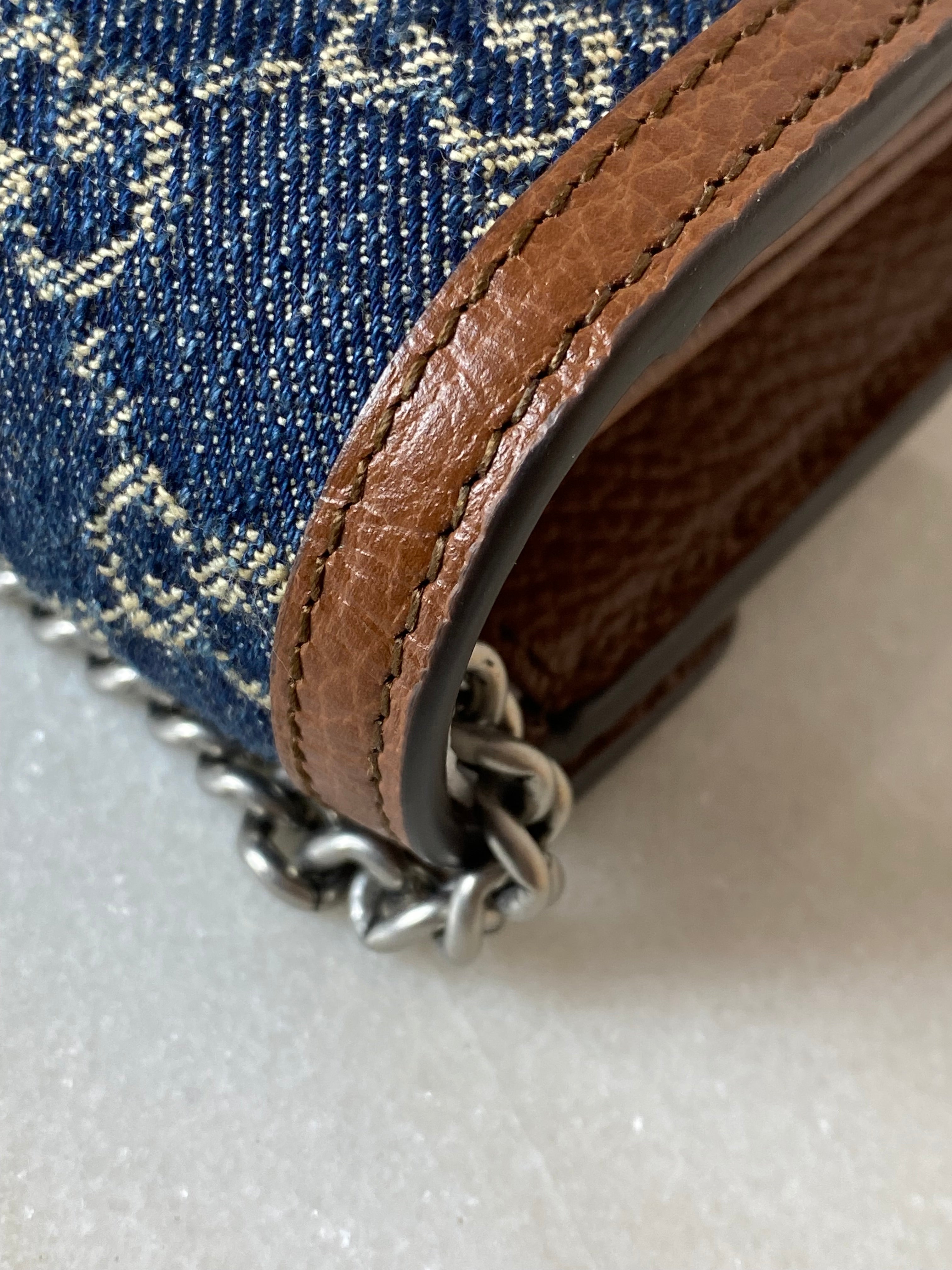 Gucci Denim GG Bicolor Dionysus Mini WOC