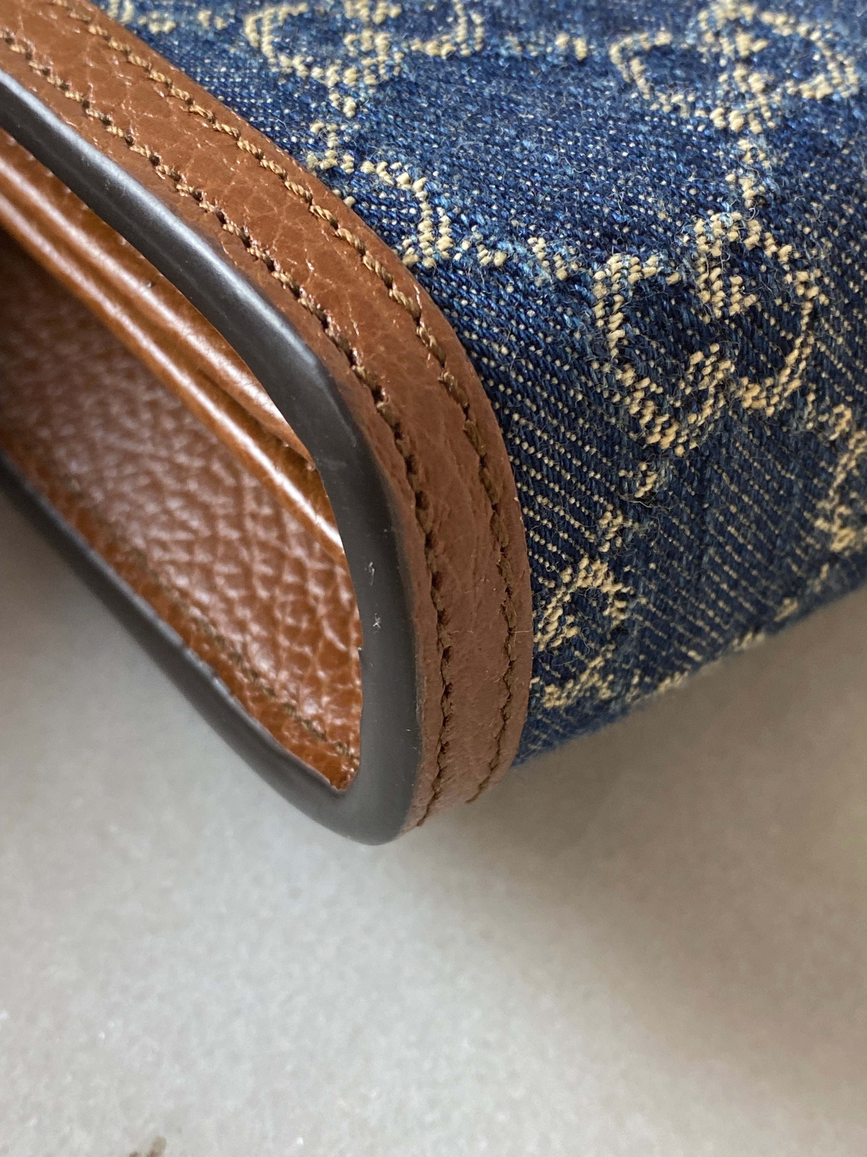 Gucci Denim GG Bicolor Dionysus Mini WOC