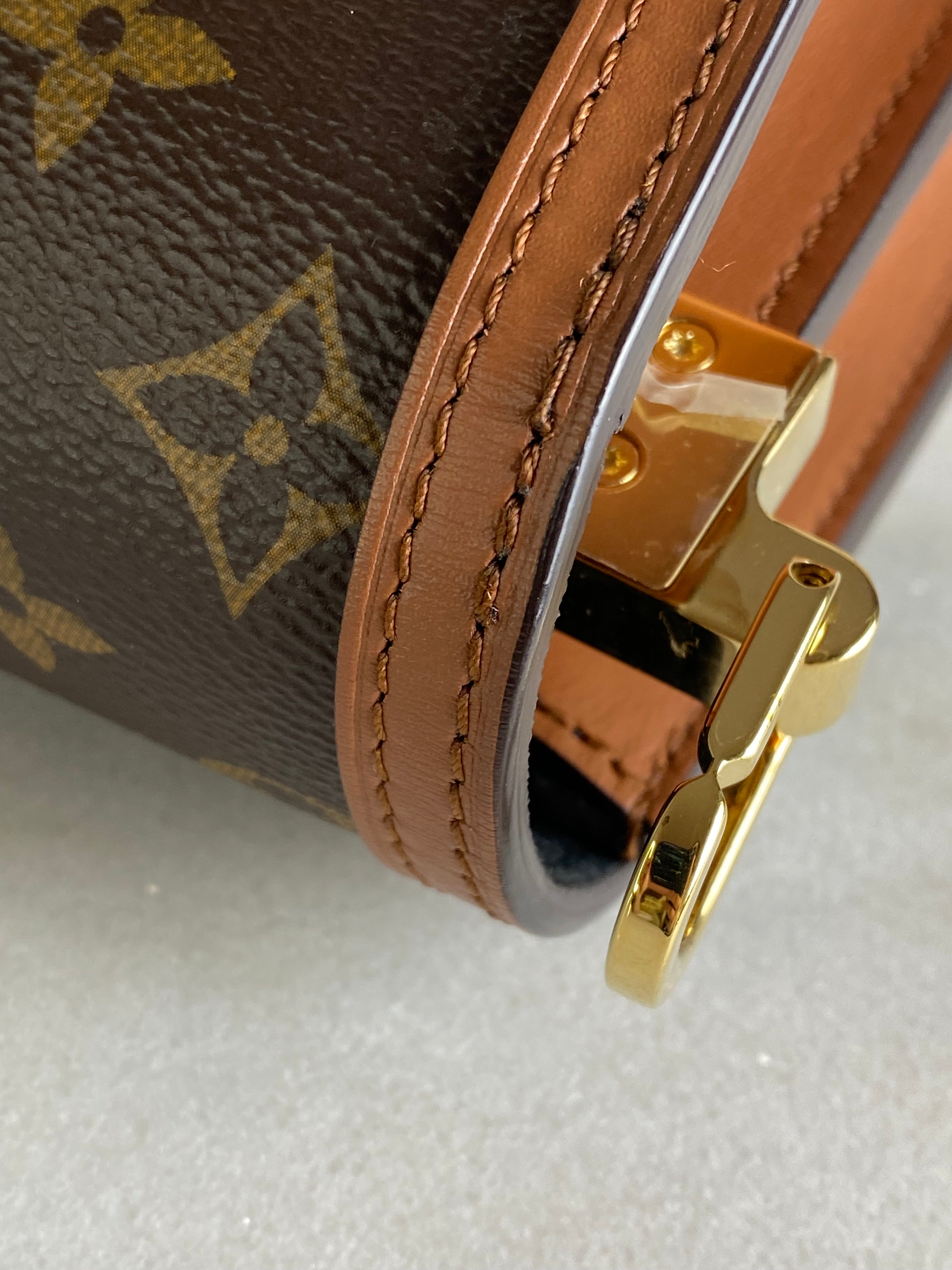 Louis Vuitton Monogram Reverse Mini Dauphin Crossbody Bag-handbag-Louis Vuitton-The Closet Egypt