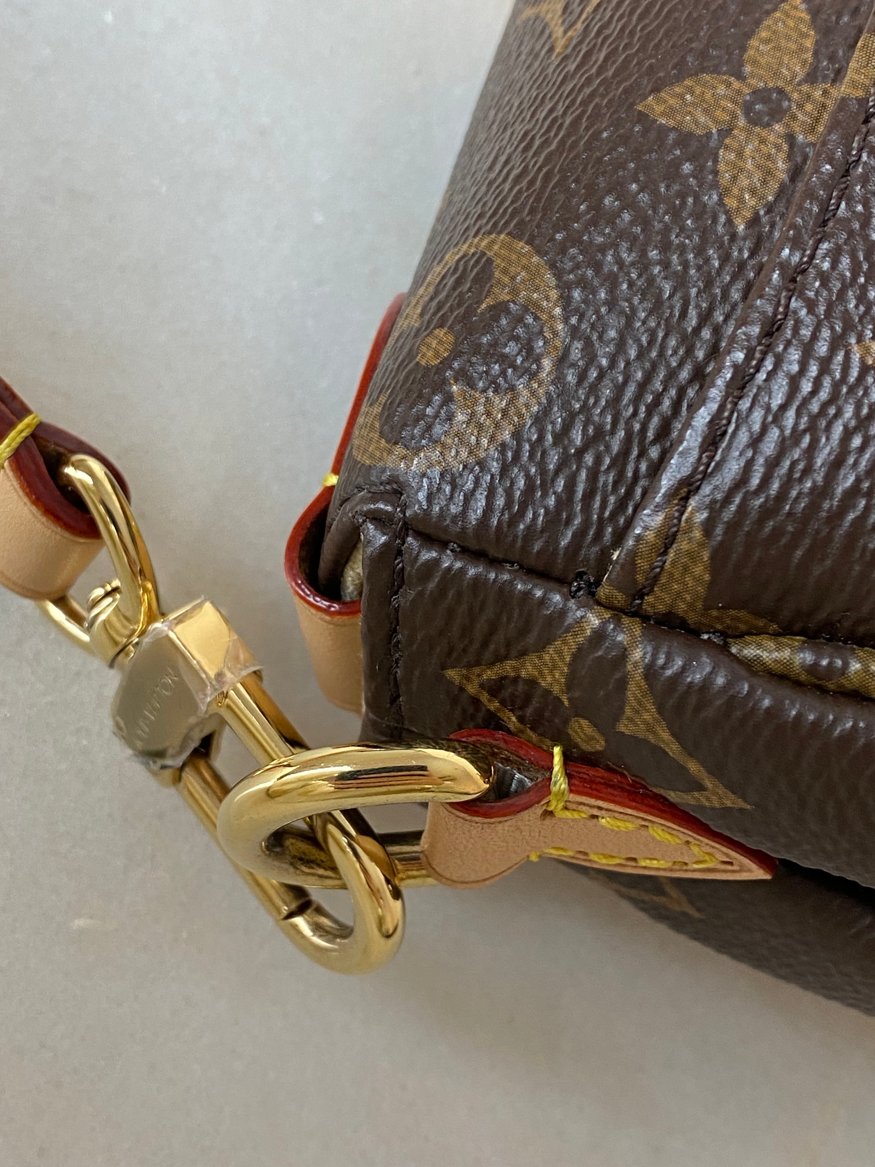 Louis Vuitton Monogram Saumur BB Flap Bag