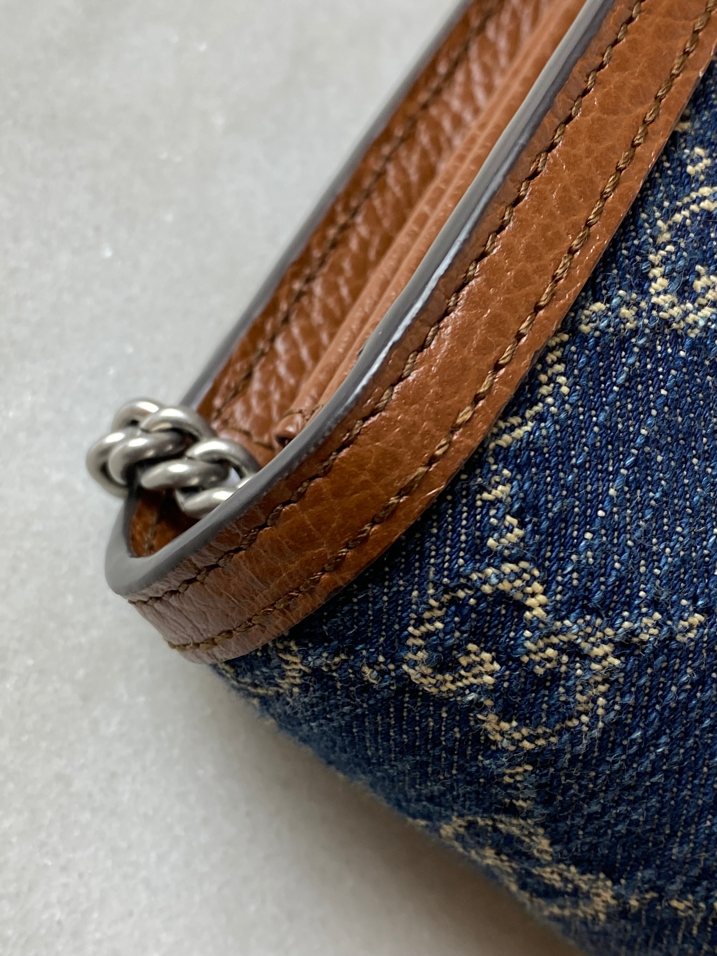 Gucci Denim GG Bicolor Dionysus Mini WOC