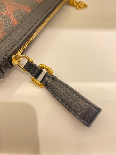 Dolce & Gabbana Leopard Mini Crossbody Chain Wallet-Wallet Chain-Dolce & Gabbana-The Closet Egypt