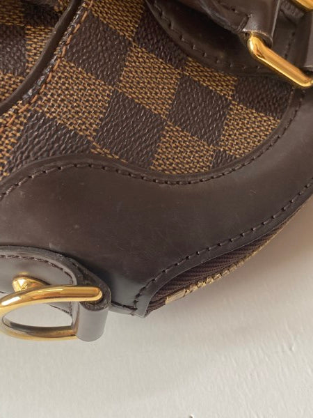 Louis Vuitton Damier Ebene Trevi PM Bag-handbag-Louis Vuitton-The Closet Egypt