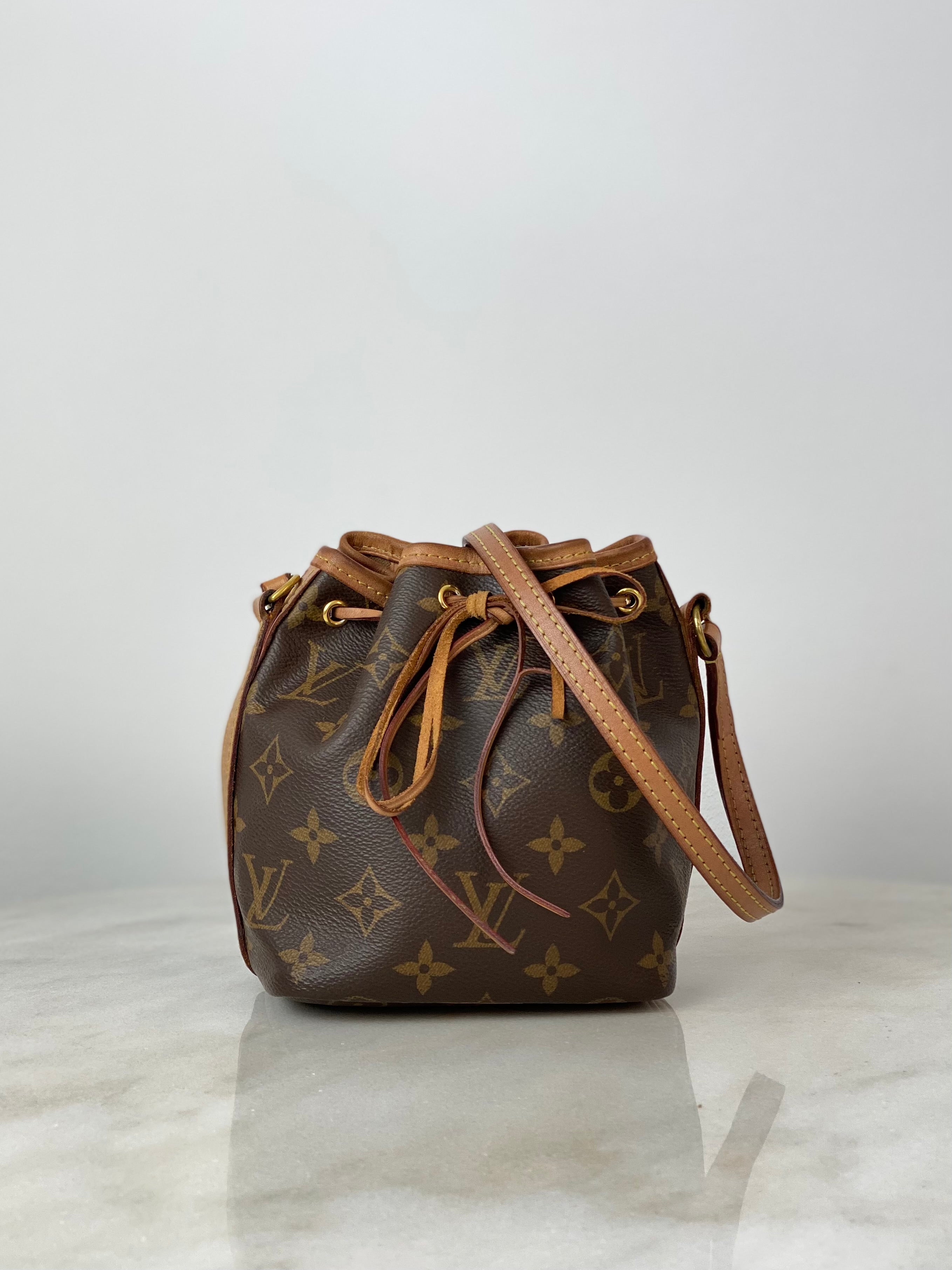 Louis Vuitton Monogram neo Nano Bag