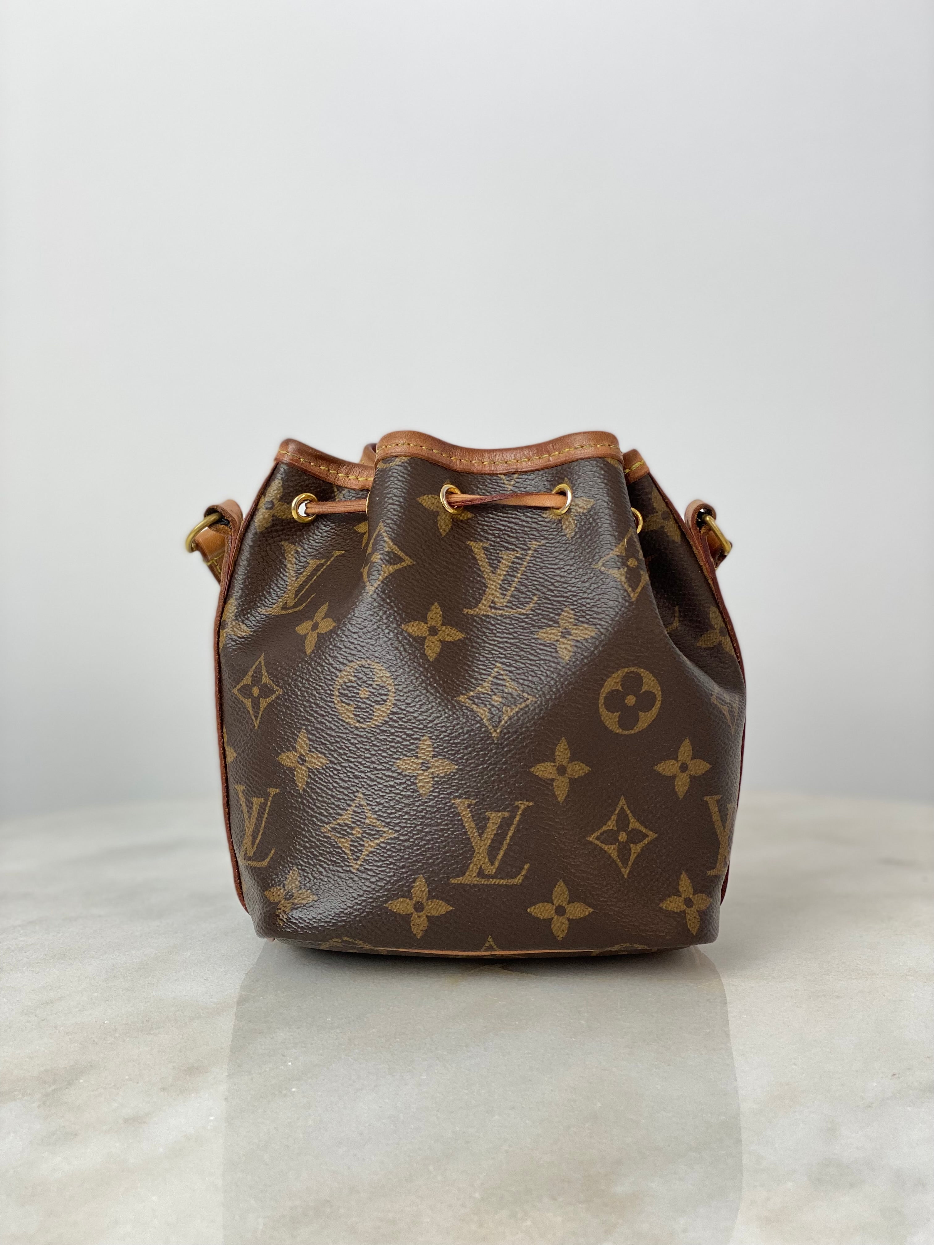 Louis Vuitton Monogram neo Nano Bag