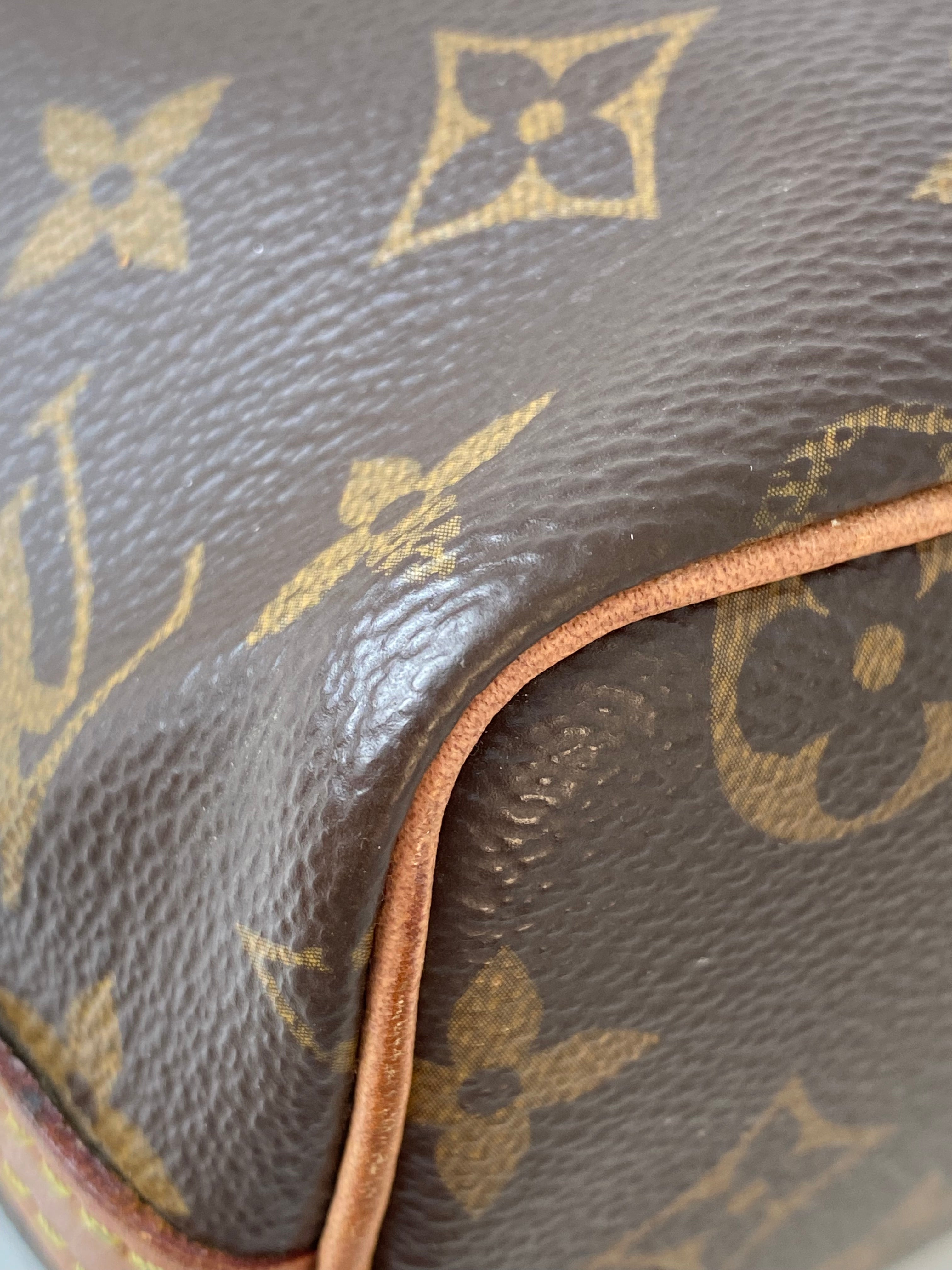 Louis Vuitton Monogram neo Nano Bag