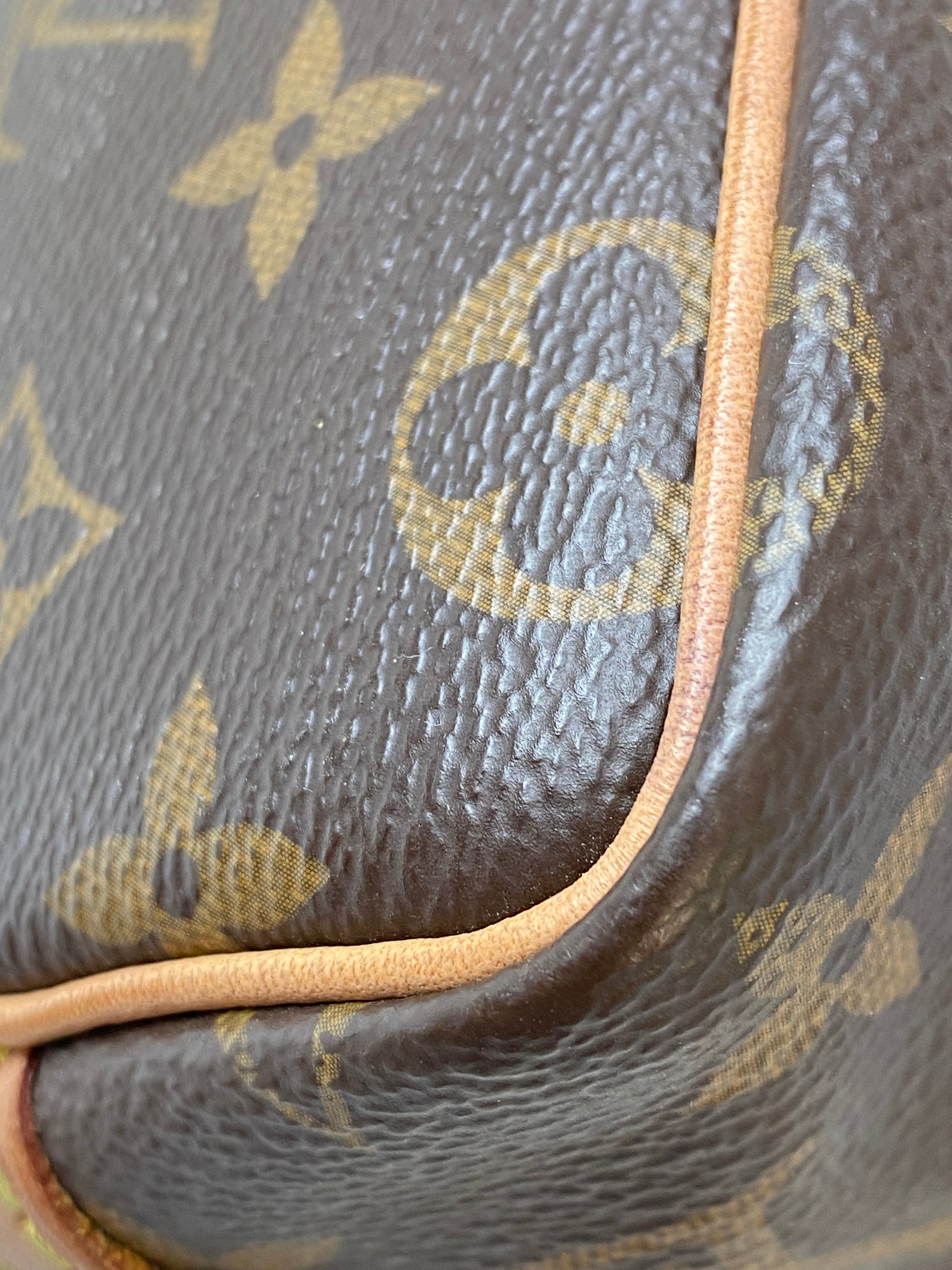 Louis Vuitton Monogram neo Nano Bag