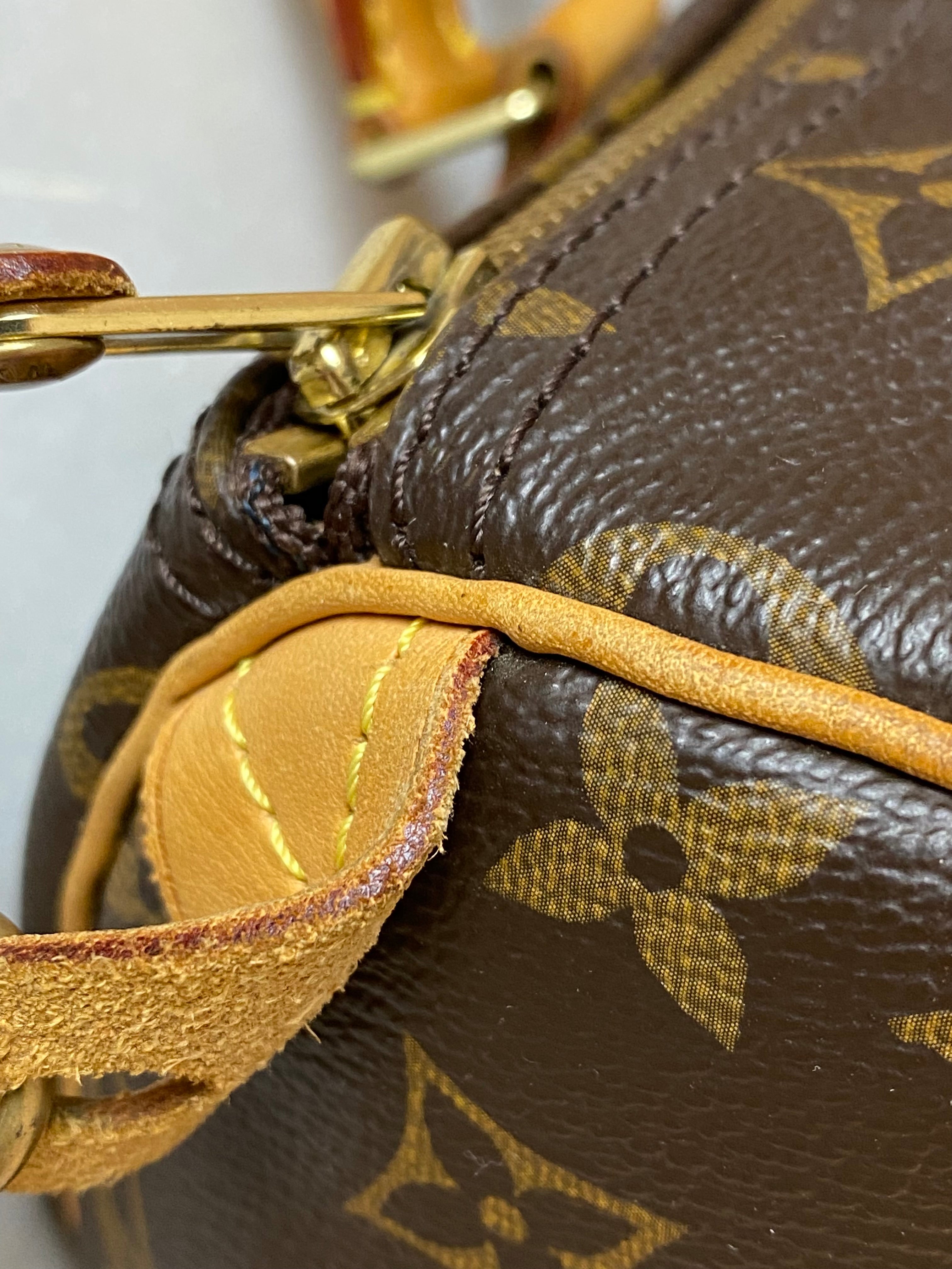 Louis Vuitton Monogram Speedy 30 Bag-handbag-Louis Vuitton-The Closet Egypt