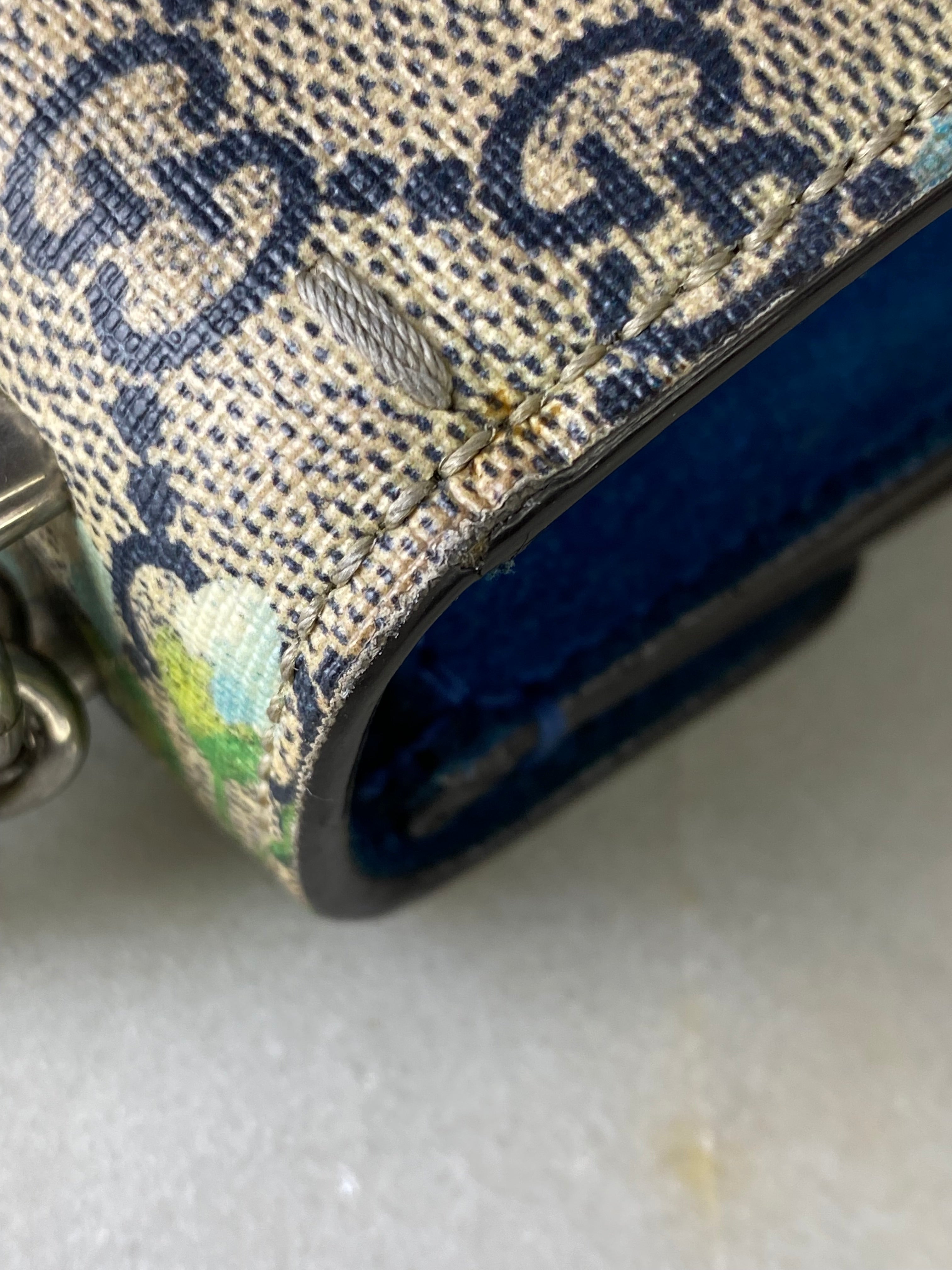 Gucci Bicolor GG Dionysus Floral Mini Bag