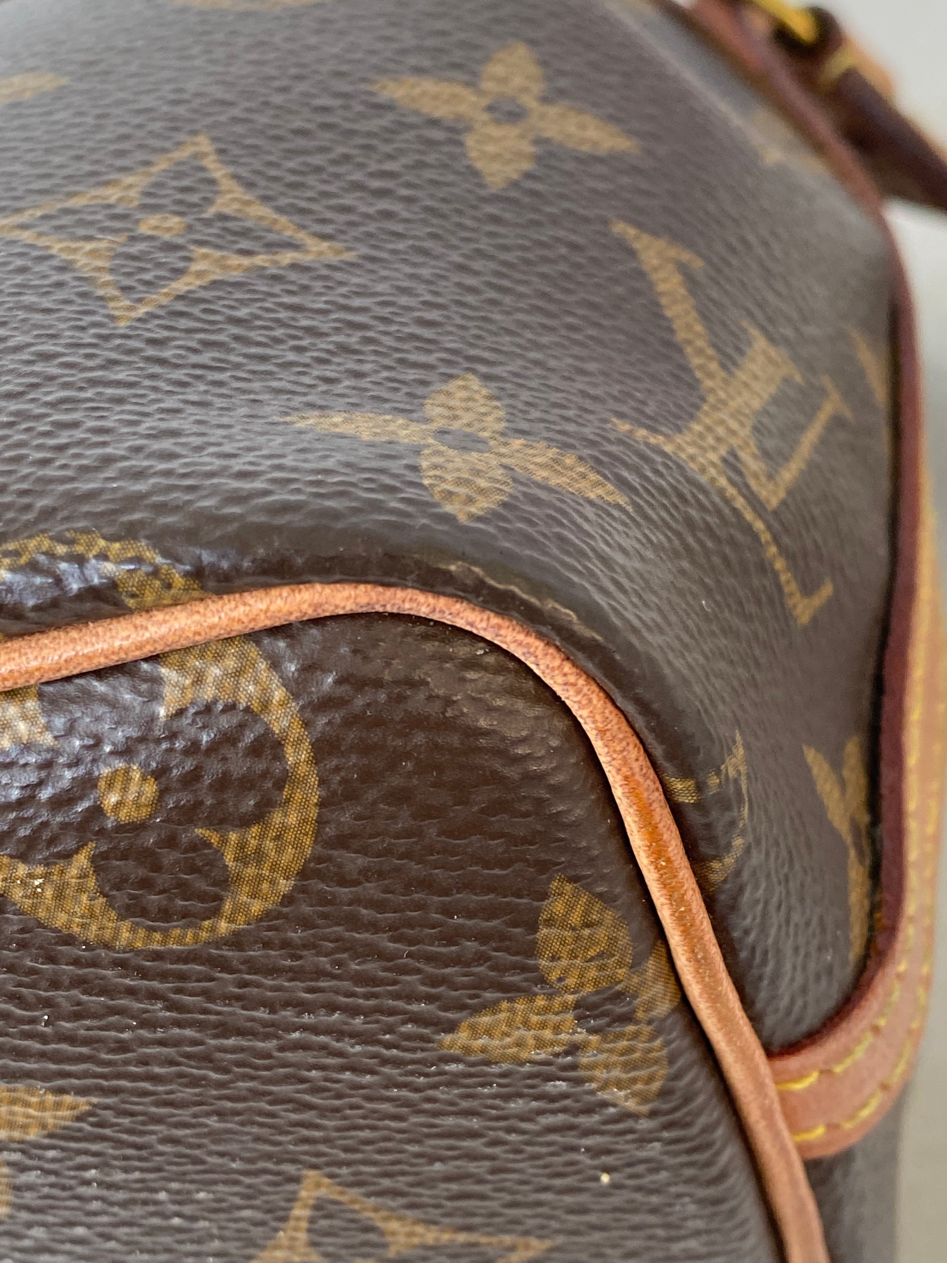 Louis Vuitton Monogram neo Nano Bag