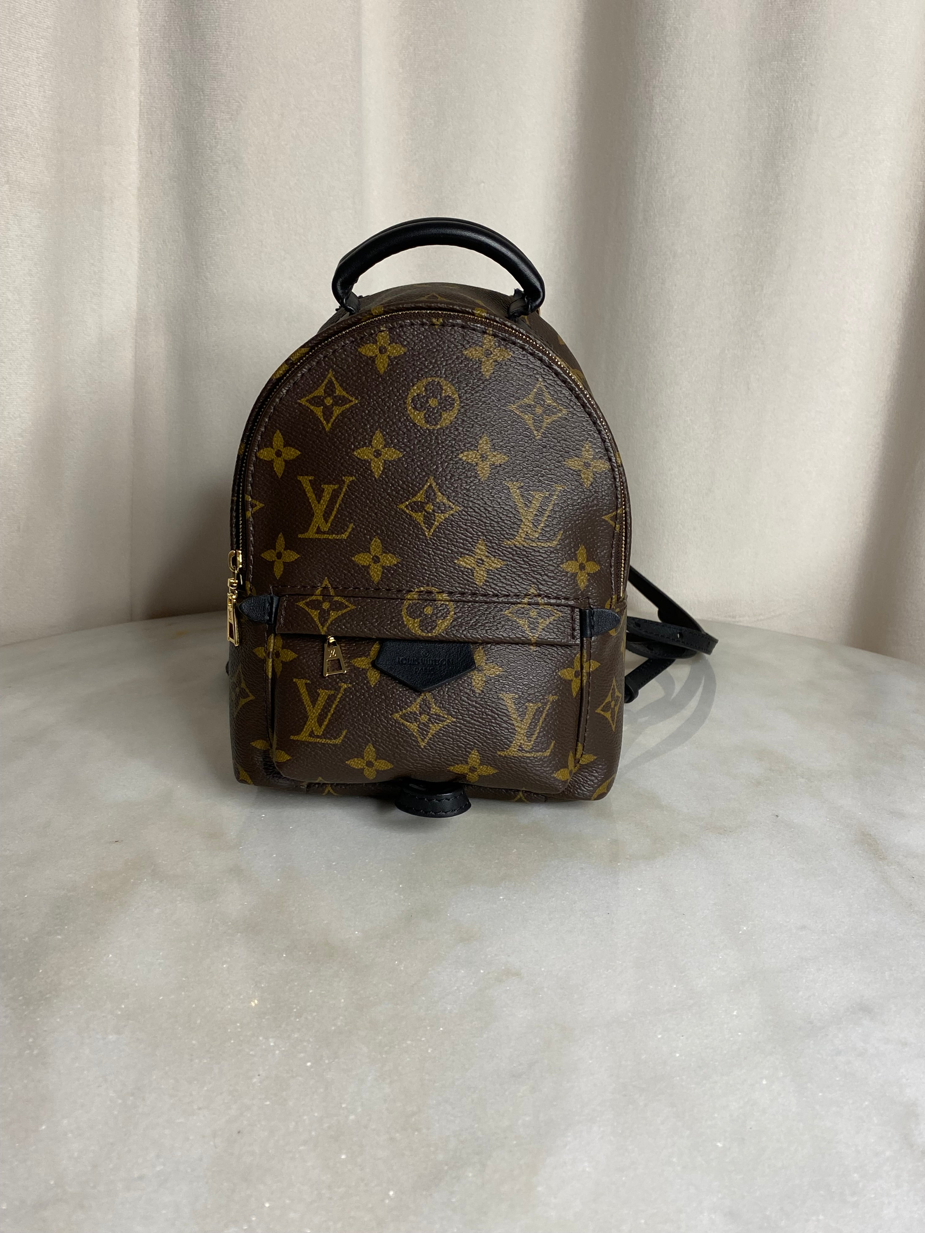 Louis Vuitton Monogram Palm Spring Mini Backpack Bag-Backpack-Louis Vuitton-The Closet Egypt